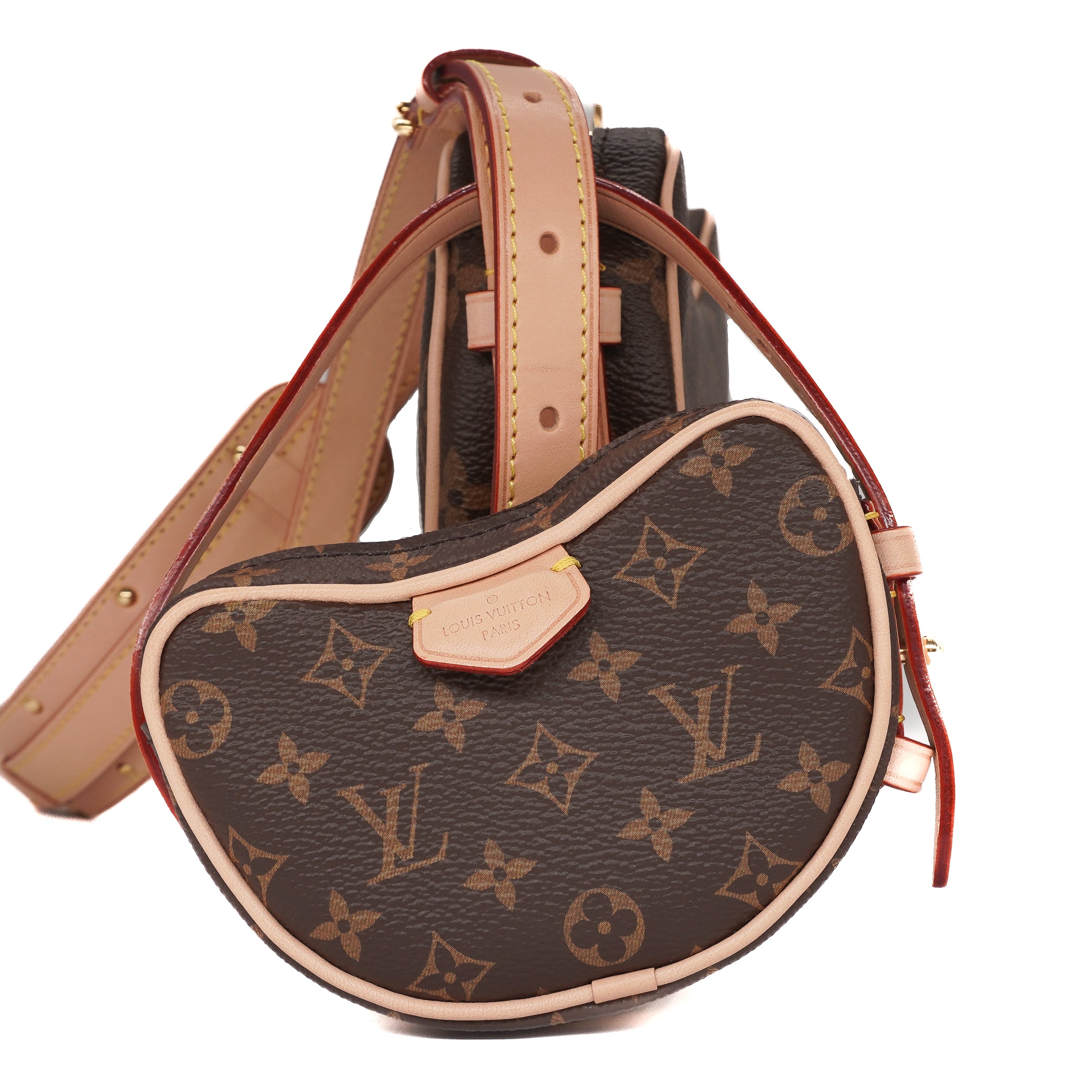 Louis Vuitton Monogram Croissant MM Duo