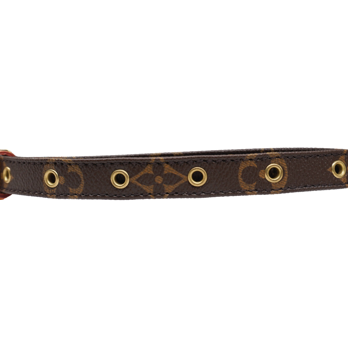 Louis Vuitton Monogram Strap