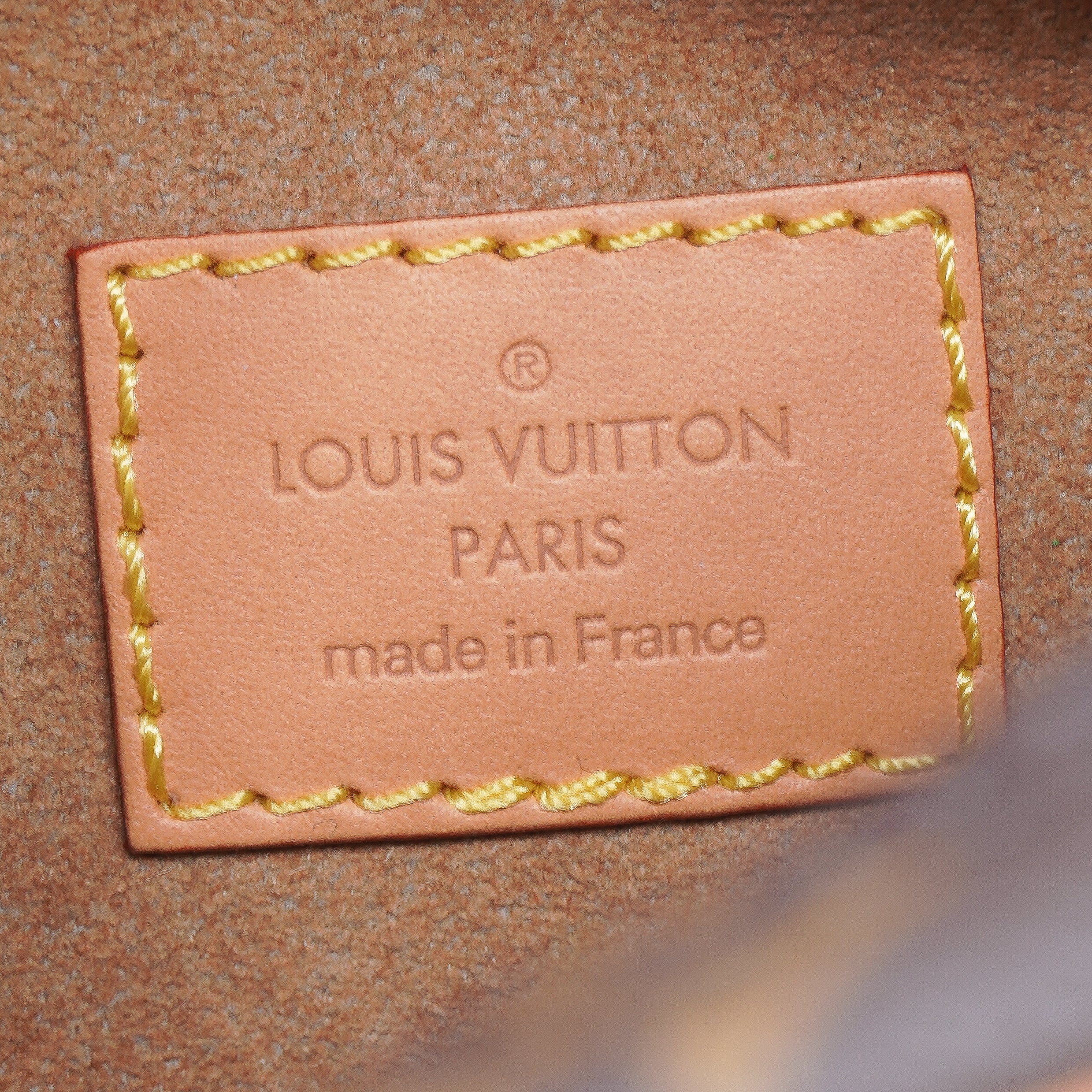 Louis Vuitton Monogram Loop