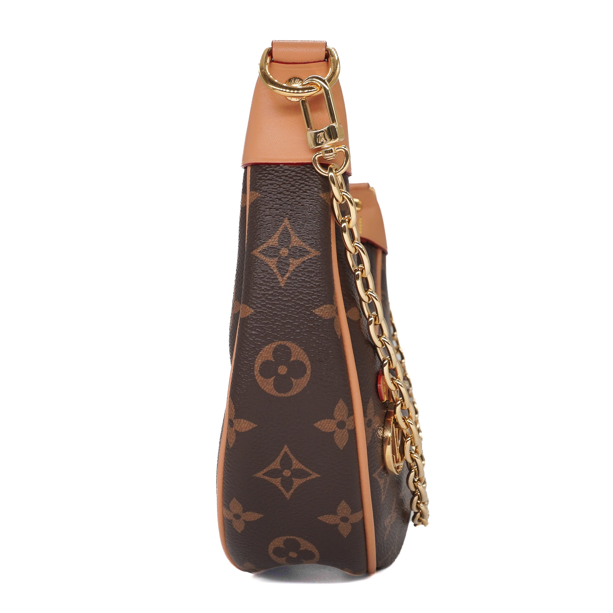 Louis Vuitton Monogram Loop