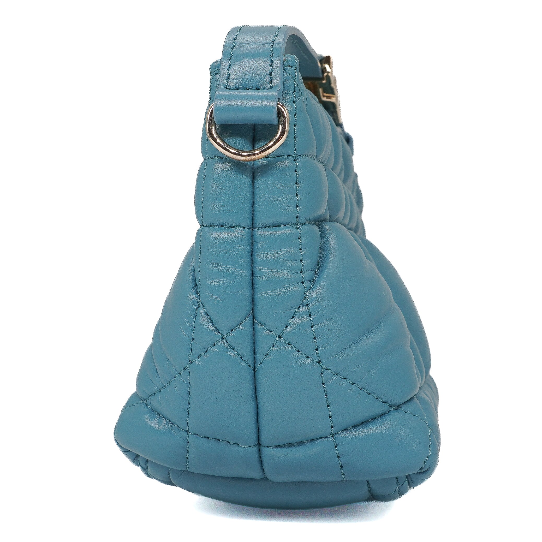 Christian Dior Diortravel Nomad Pouch