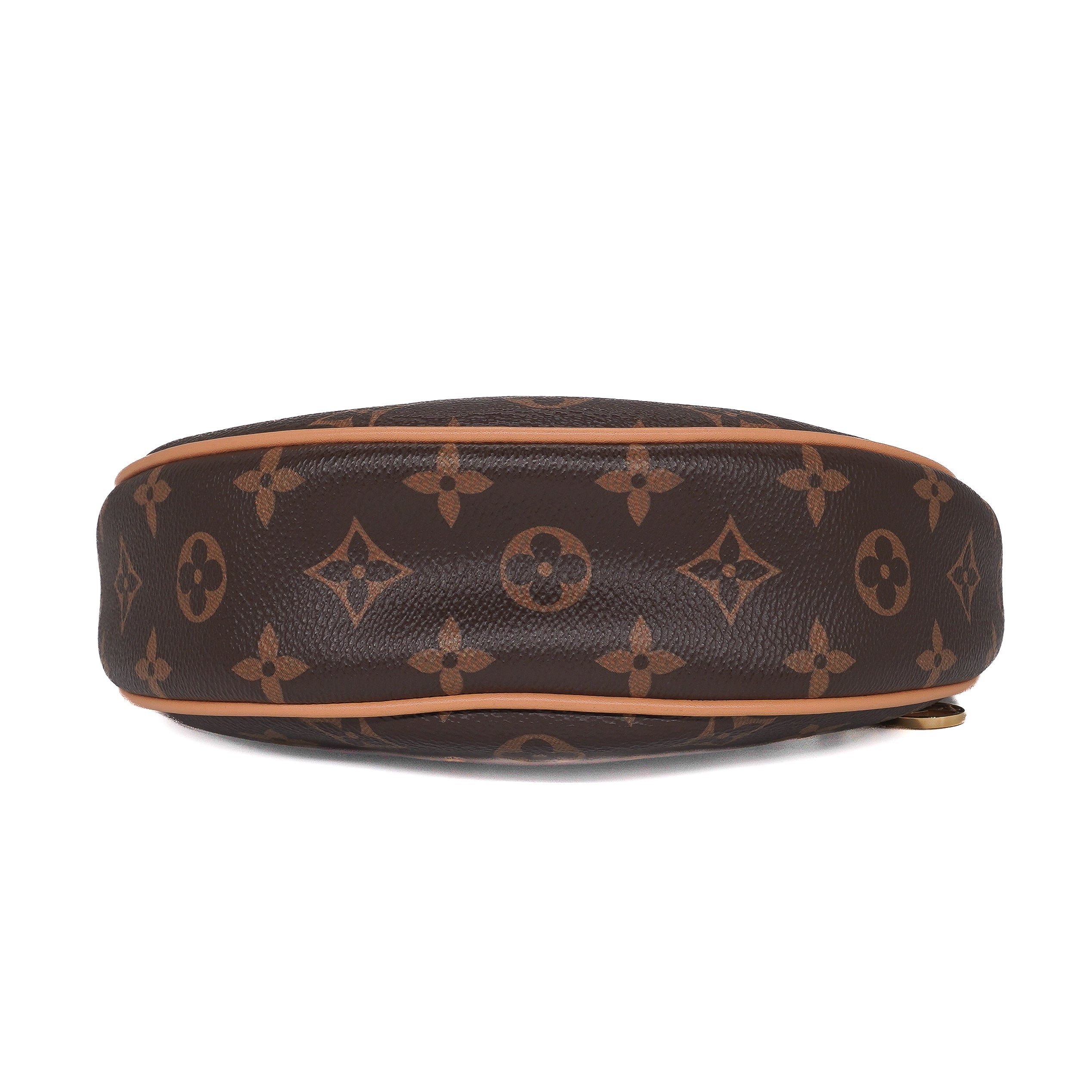 Louis Vuitton Monogram Loop