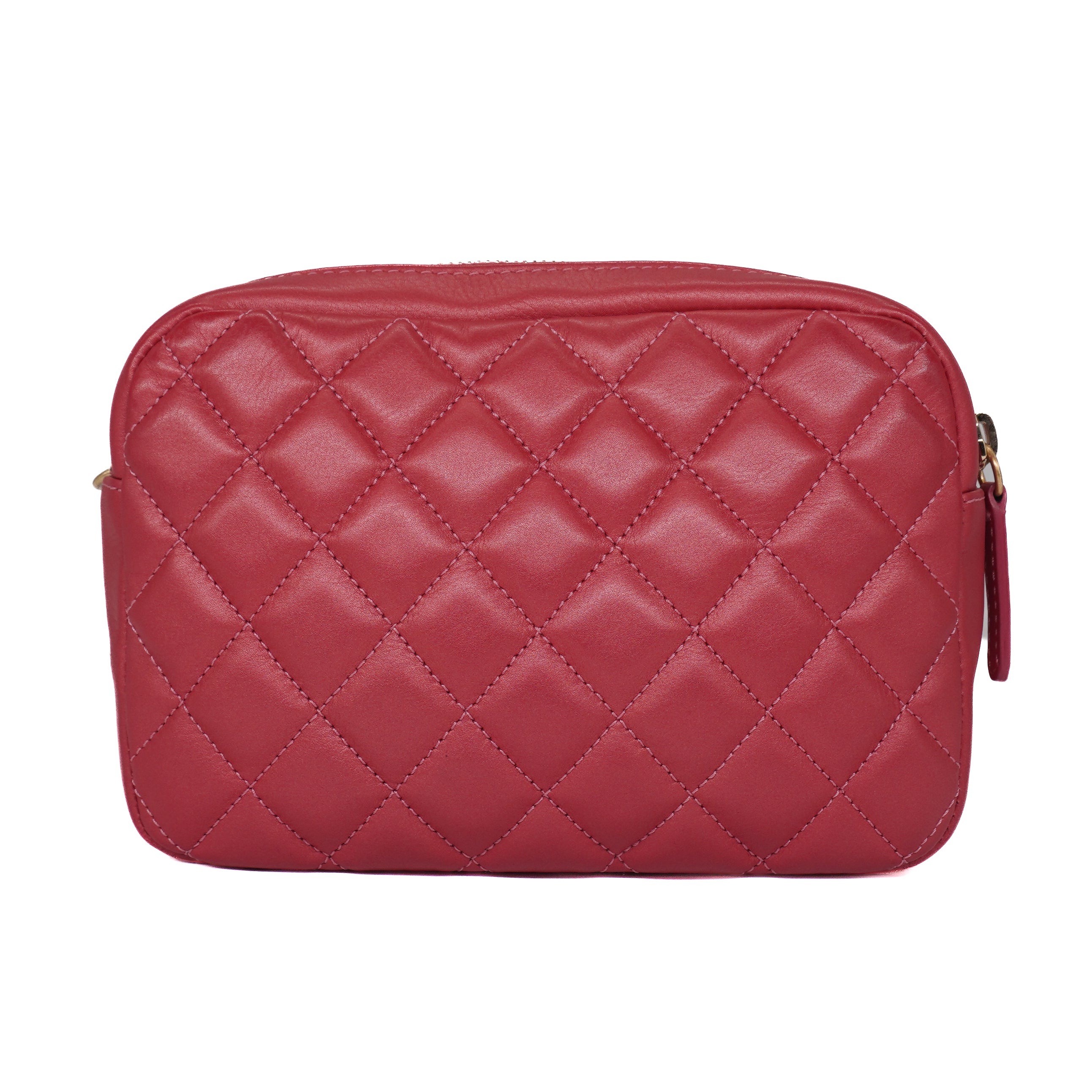 Chanel Calfskin Quilted Day Trips Camera Bag