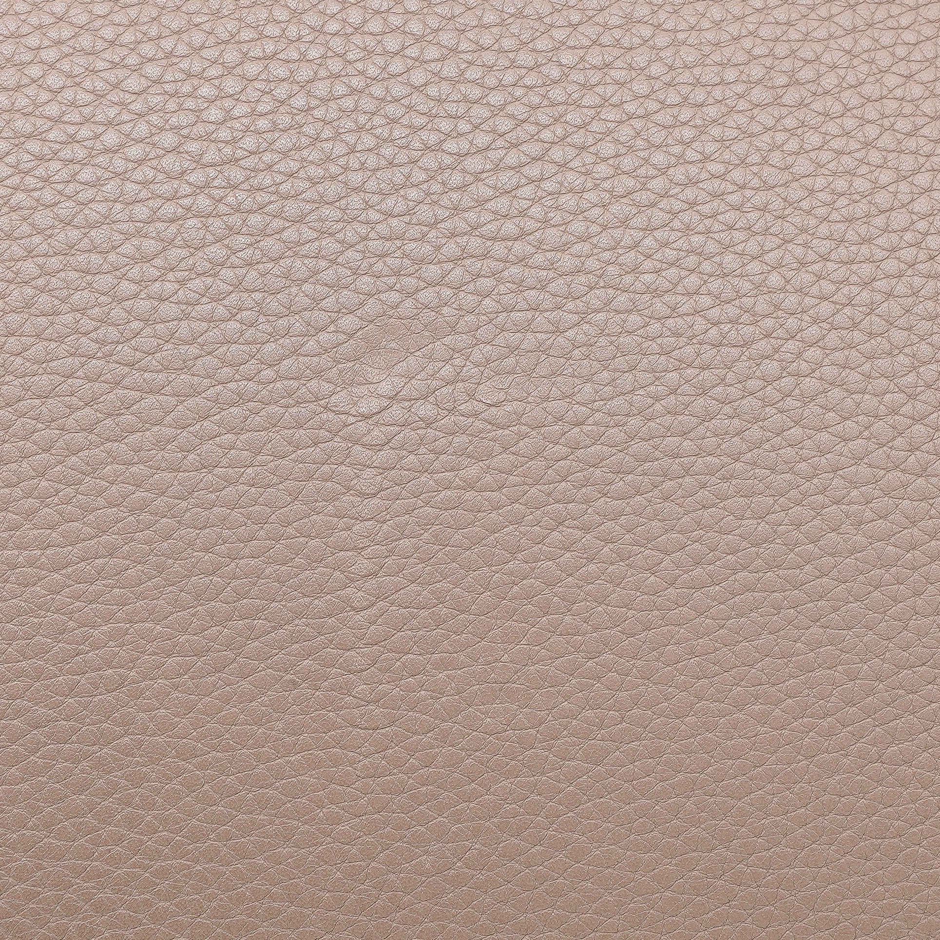 Celine Calfskin Large Phantom Luggage Tote
