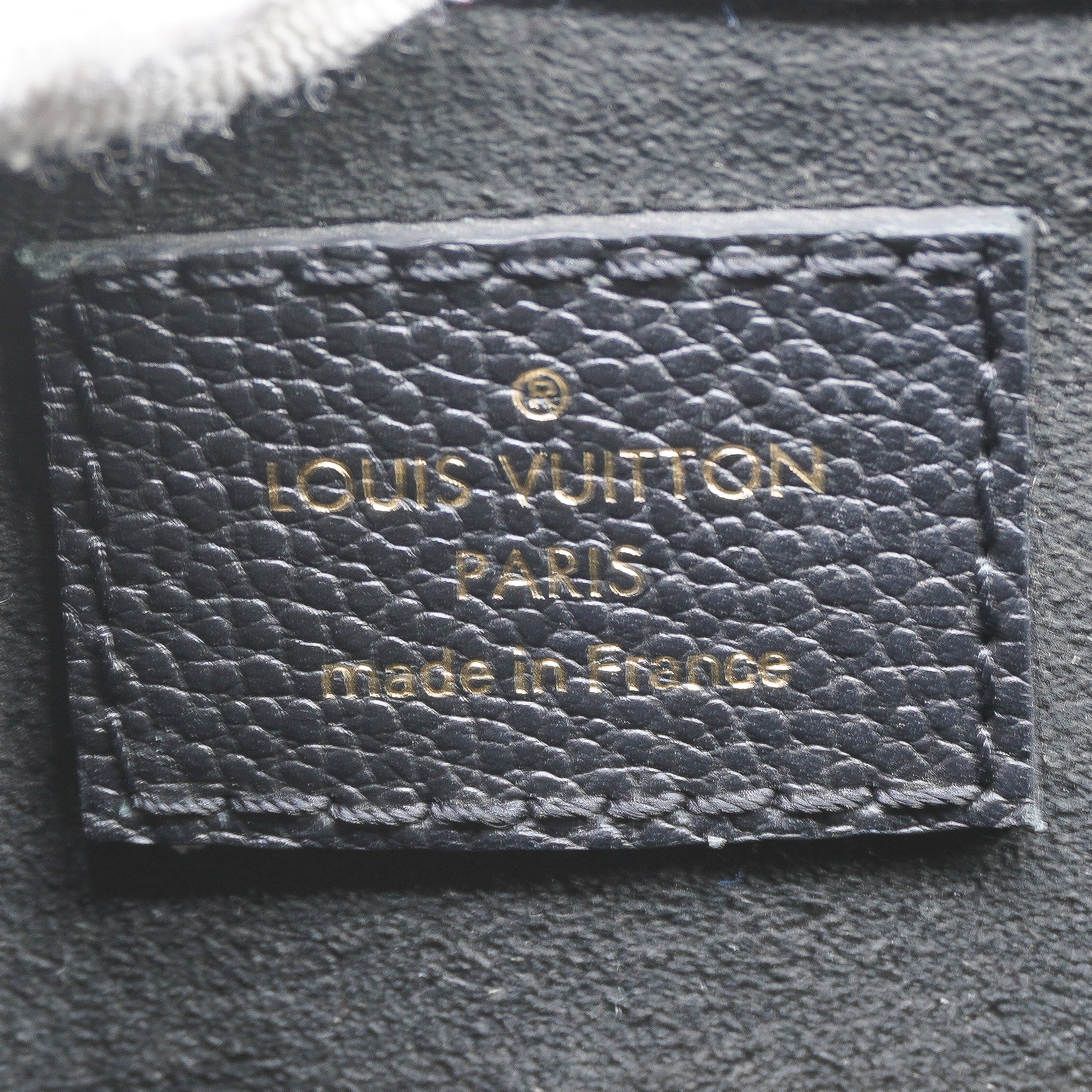Louis Vuitton Monogram Surene GM