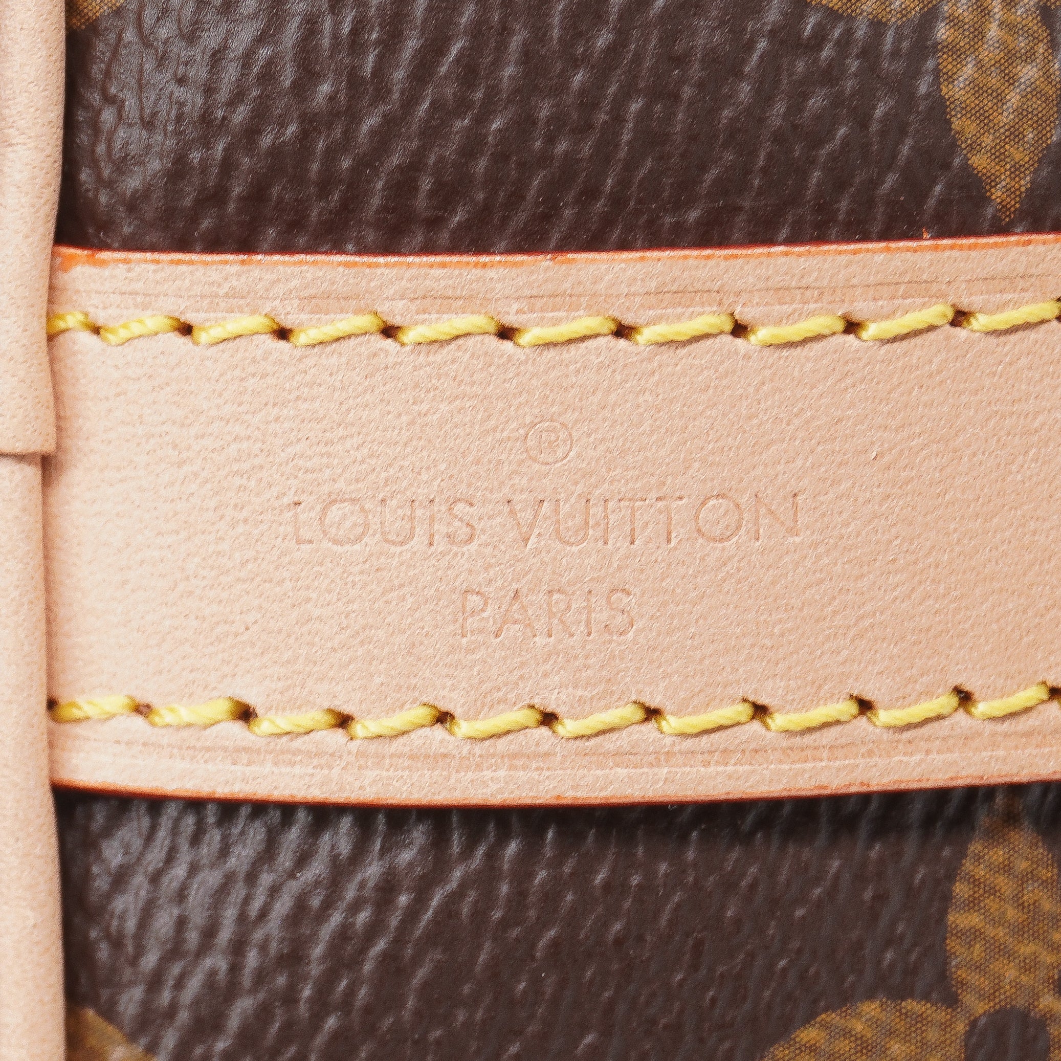 Louis Vuitton Monogram Speedy 25 Bandoulier