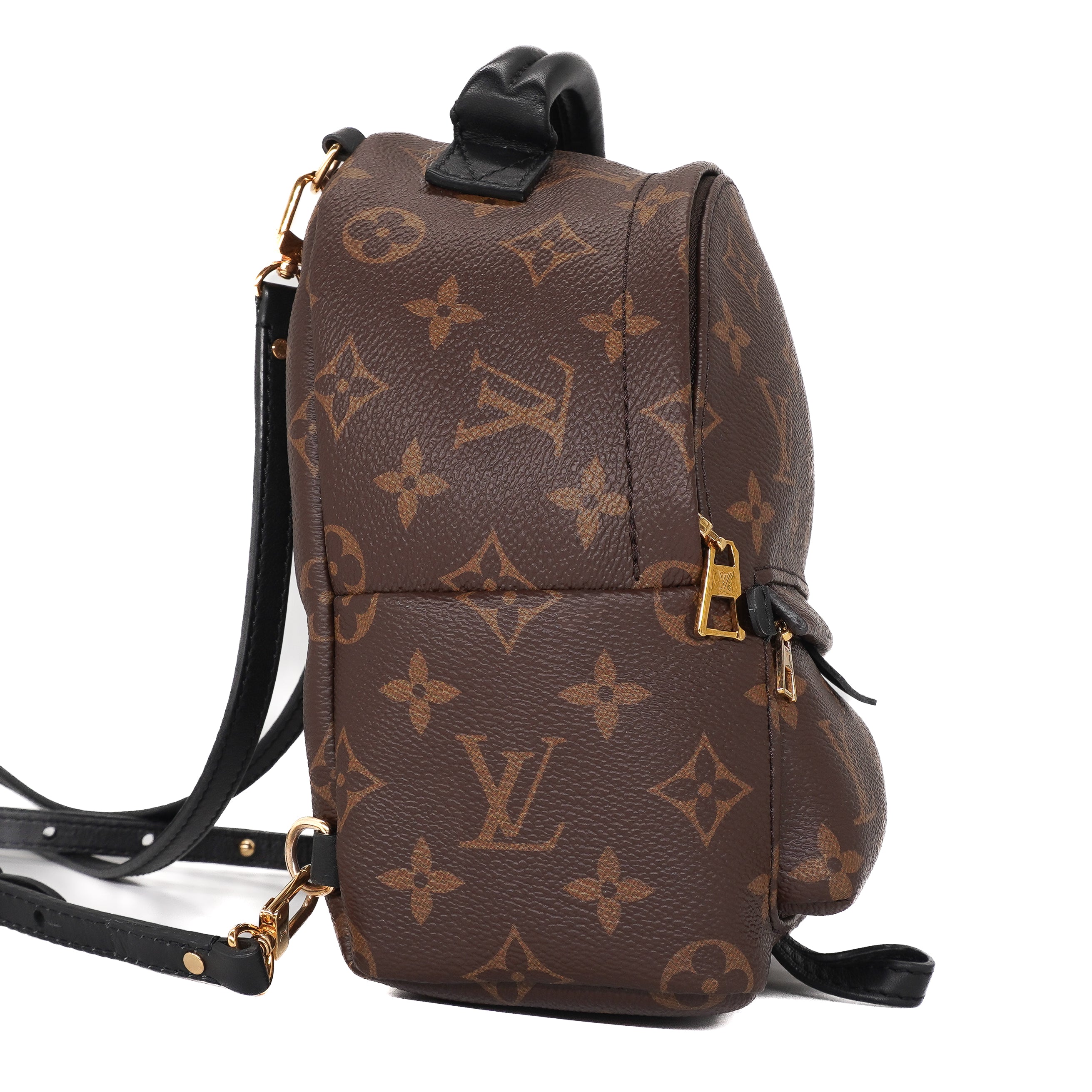 Louis Vuitton Palm Springs Mini Backpack