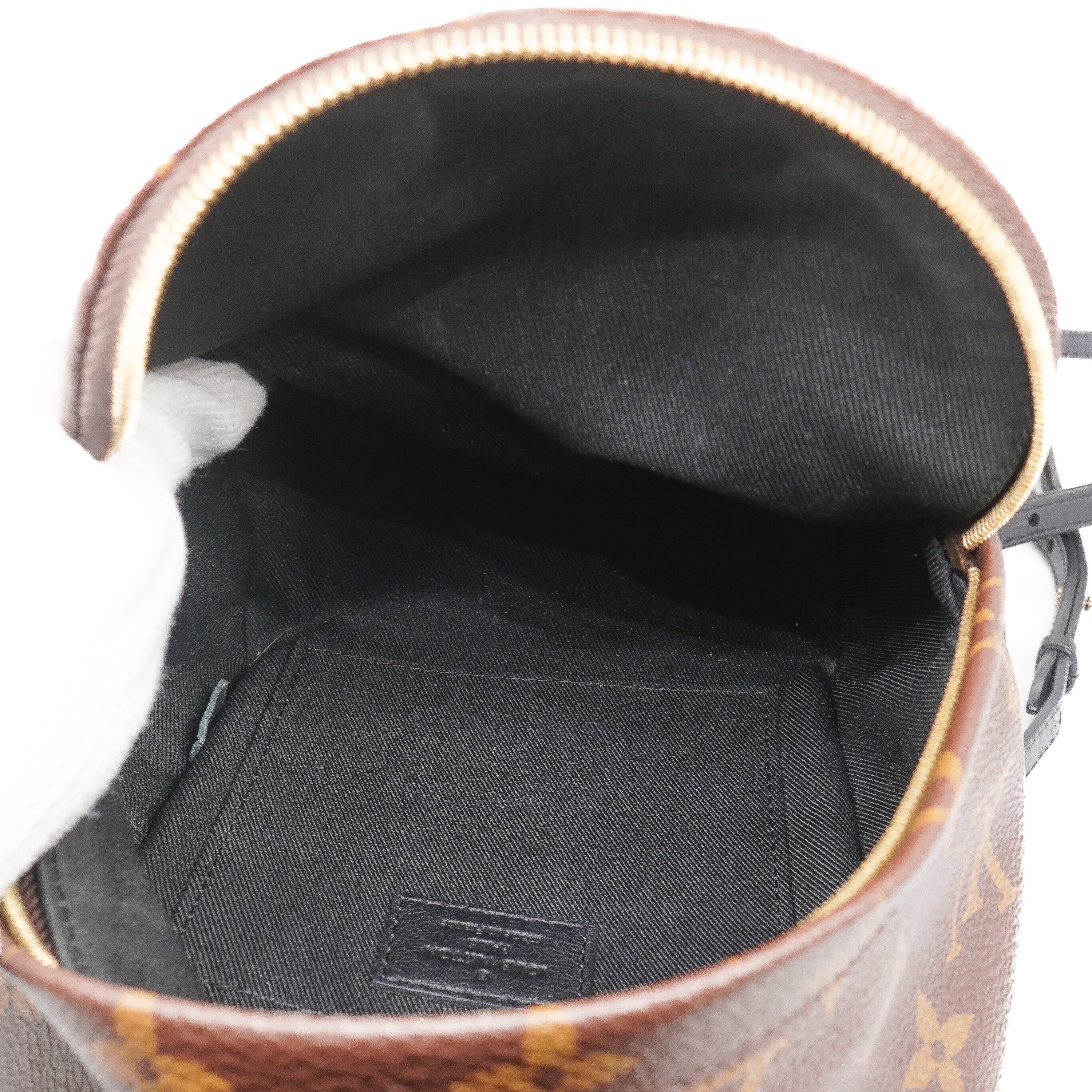 Louis Vuitton Palm Springs Mini Backpack