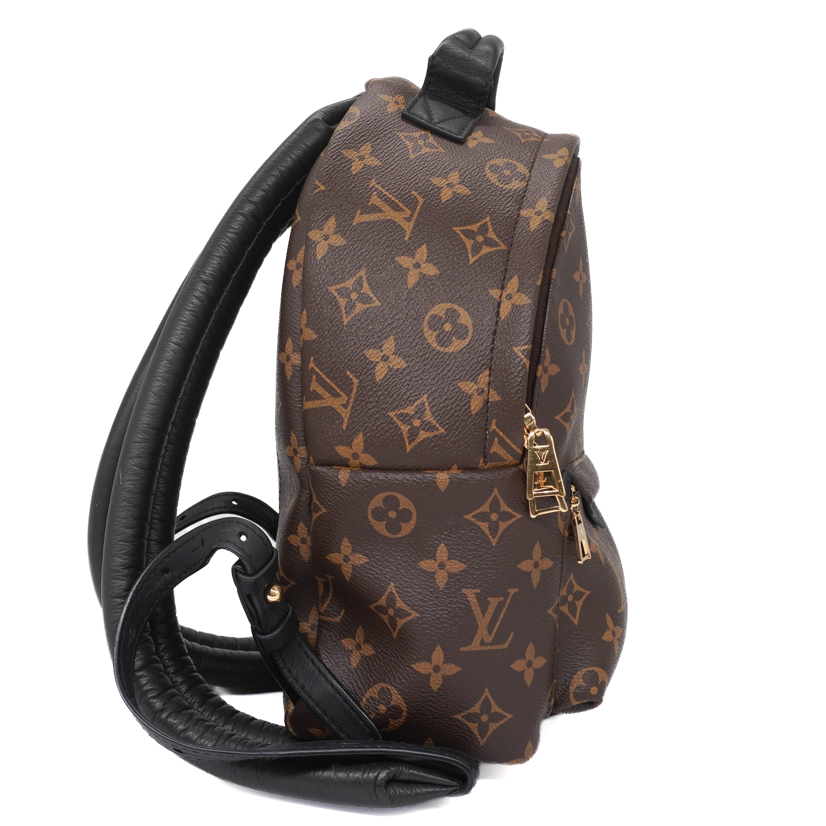 Louis Vuitton Palm Springs Backpack PM
