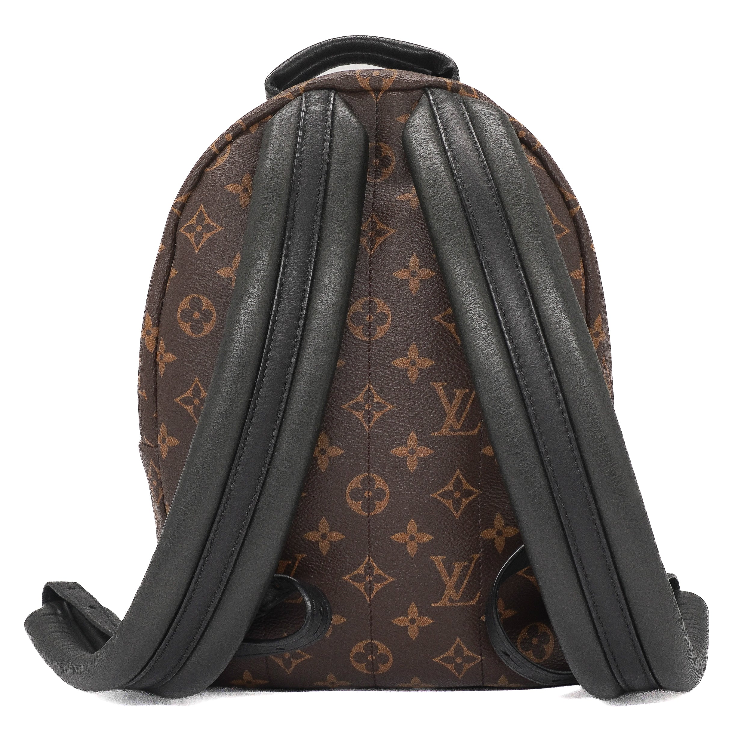 Louis Vuitton Palm Springs Backpack PM
