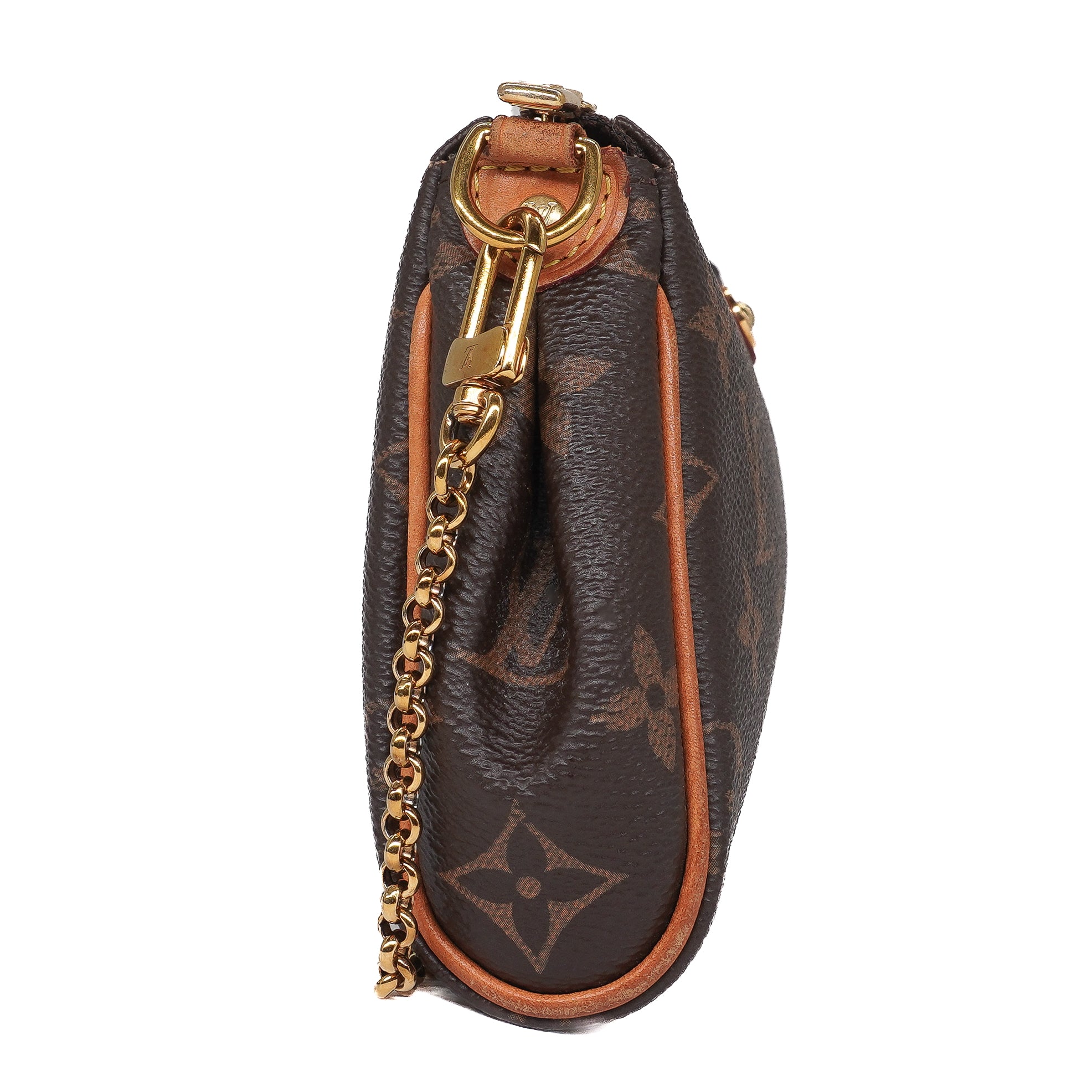 Louis Vuitton Monogram Eva