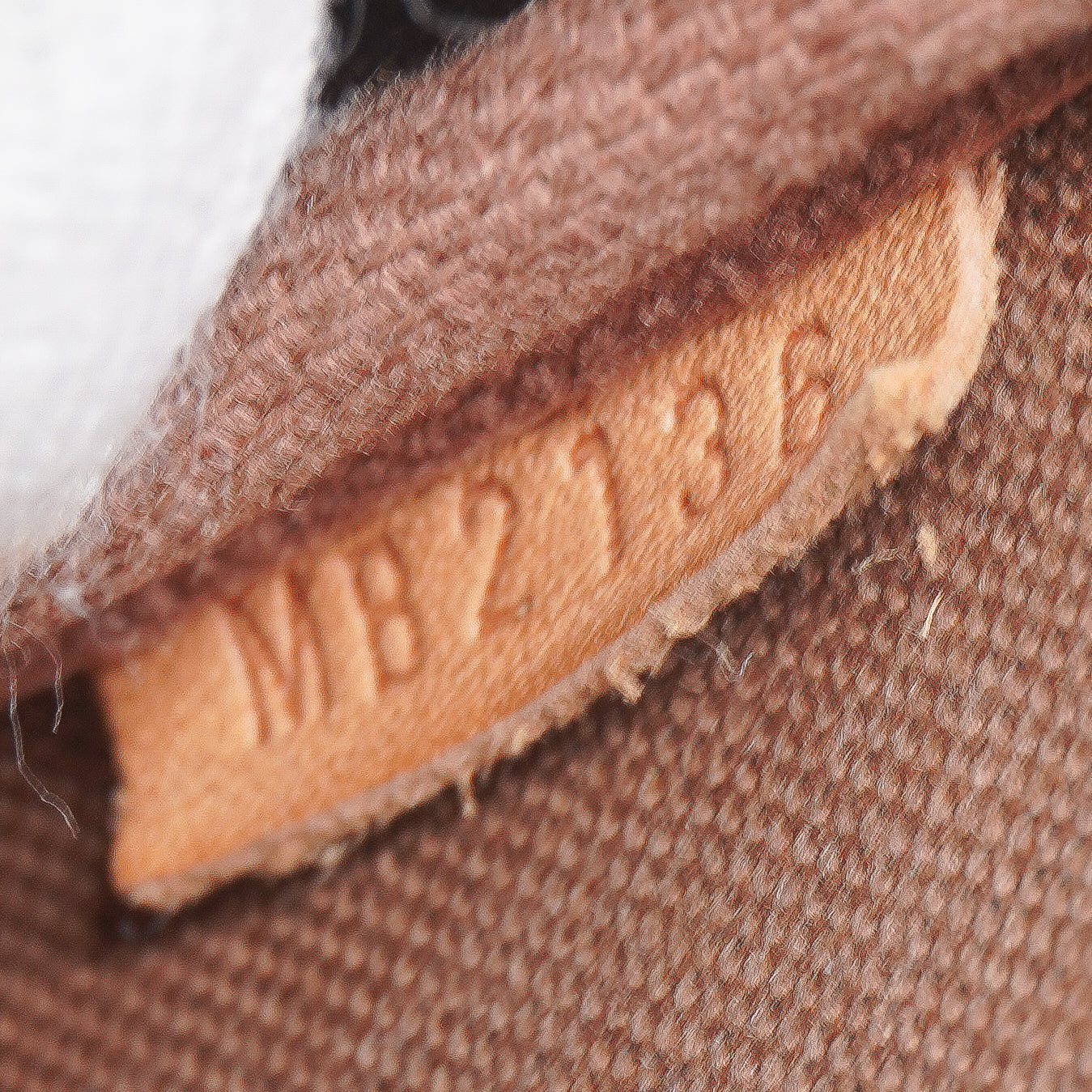 Louis Vuitton Monogram Eva