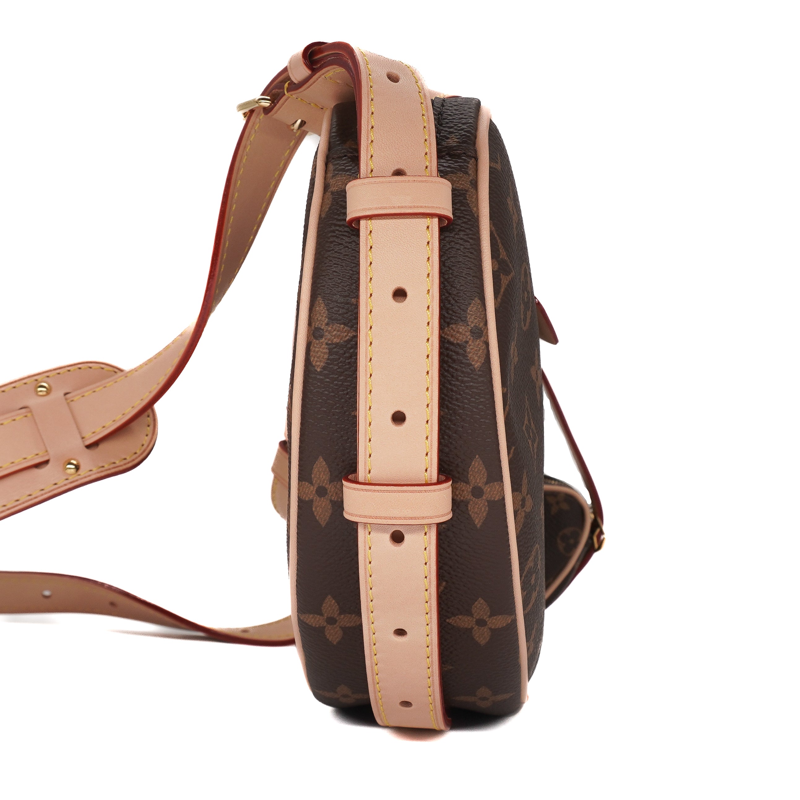 Louis Vuitton Monogram Croissant MM Duo