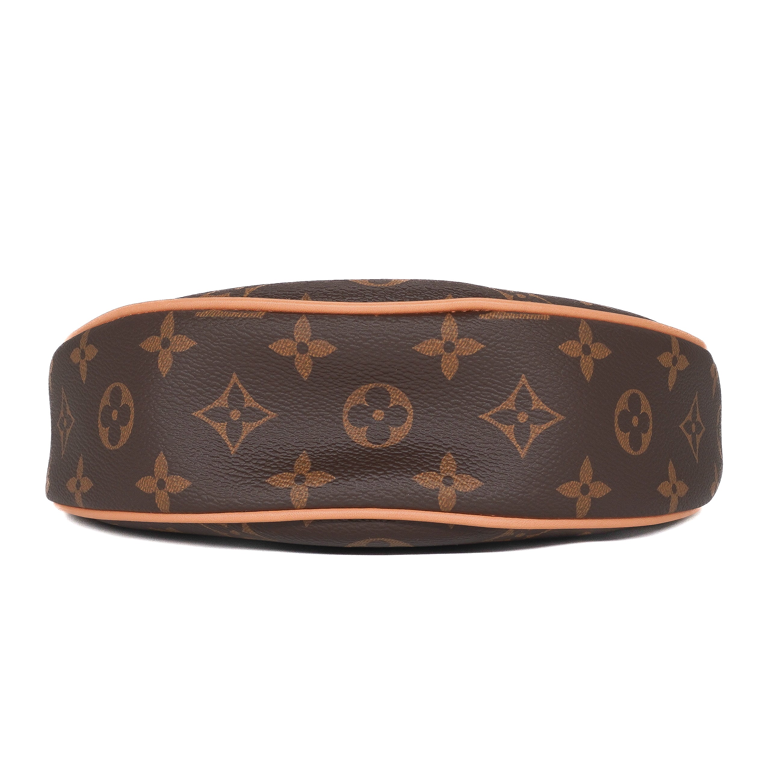 Louis Vuitton Monogram Loop