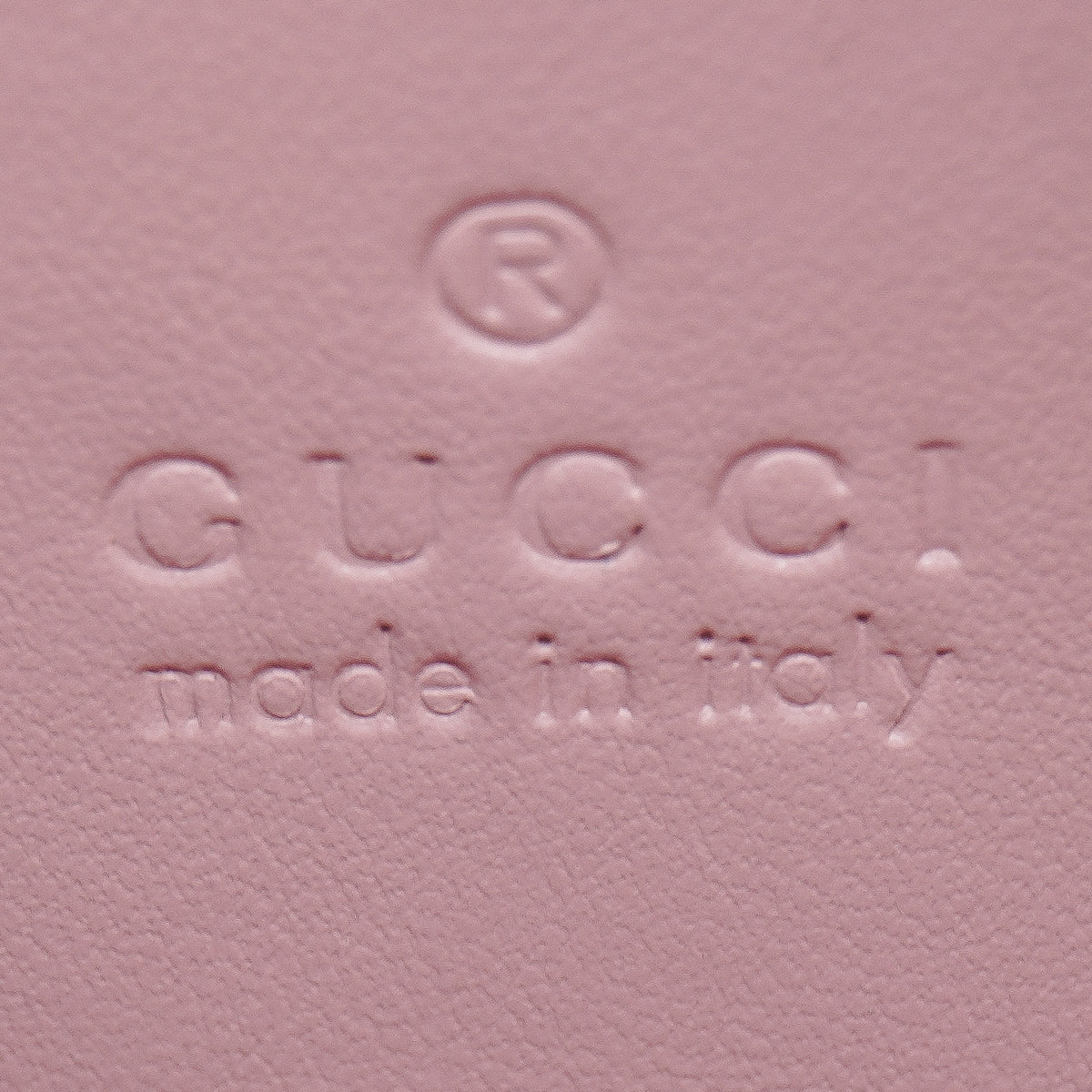 Gucci Small Camera Bag
