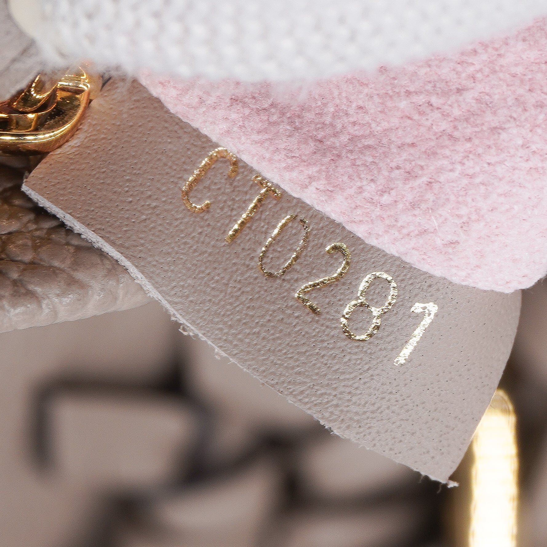 Louis Vuitton Montsouris PM