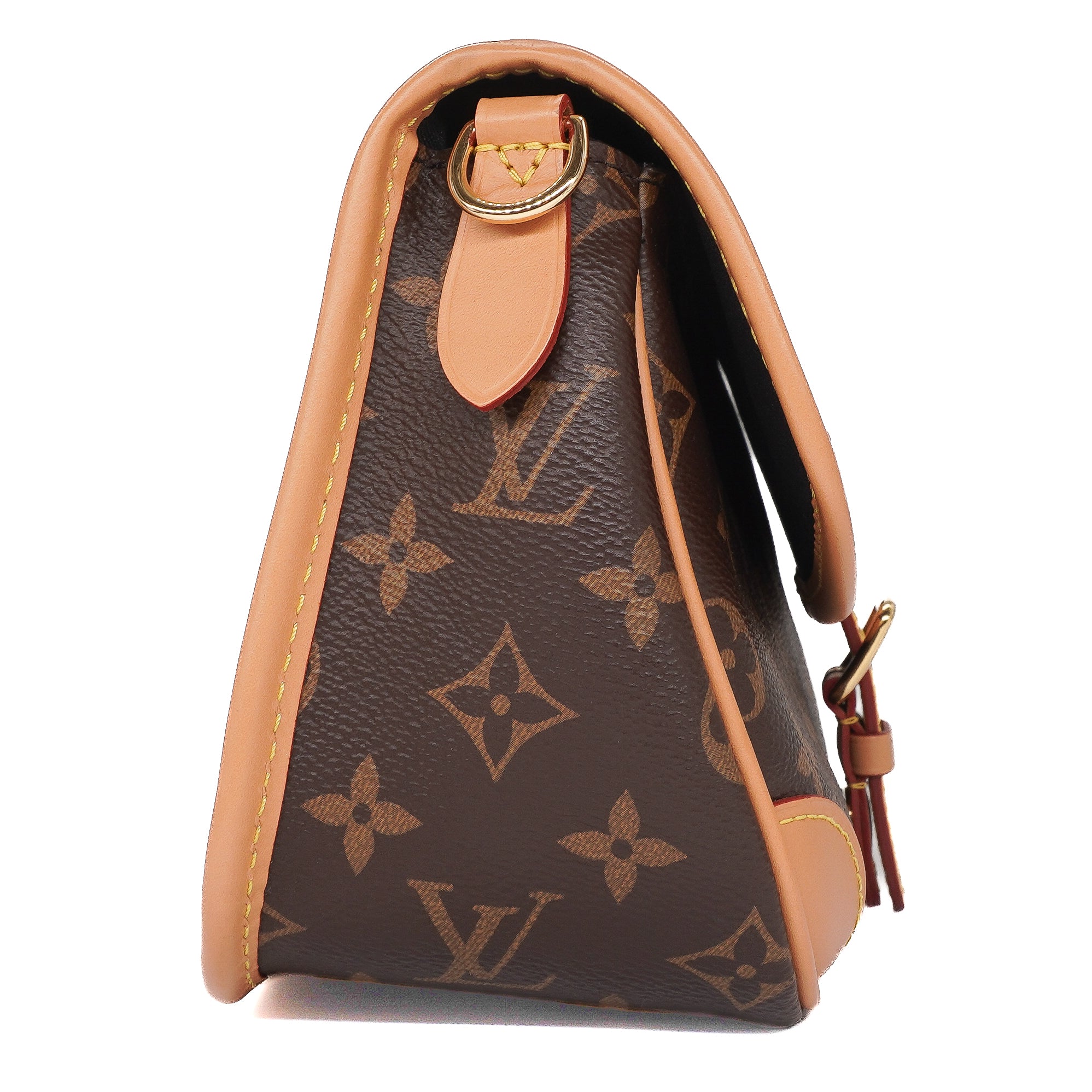Louis Vuitton Monogram Diane