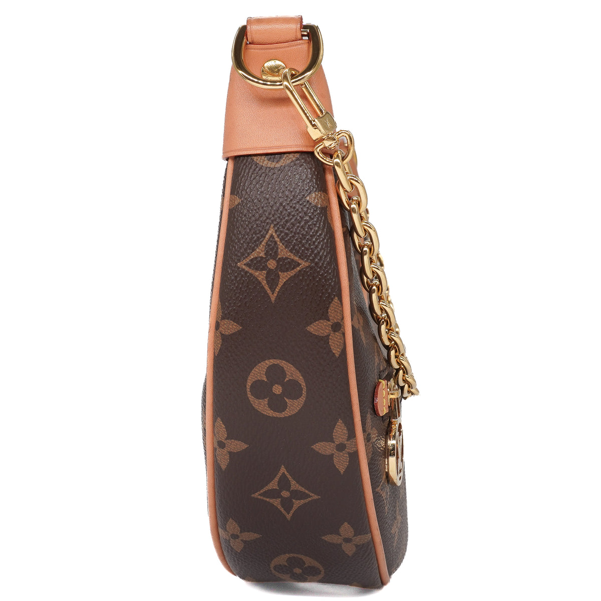 Louis Vuitton Monogram Loop