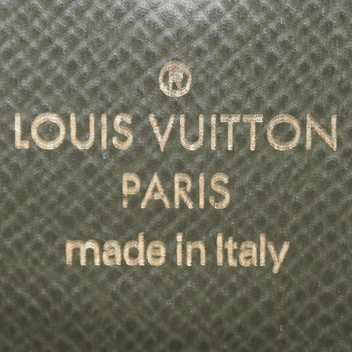 Louis Vuitton Felicie Strap and Go