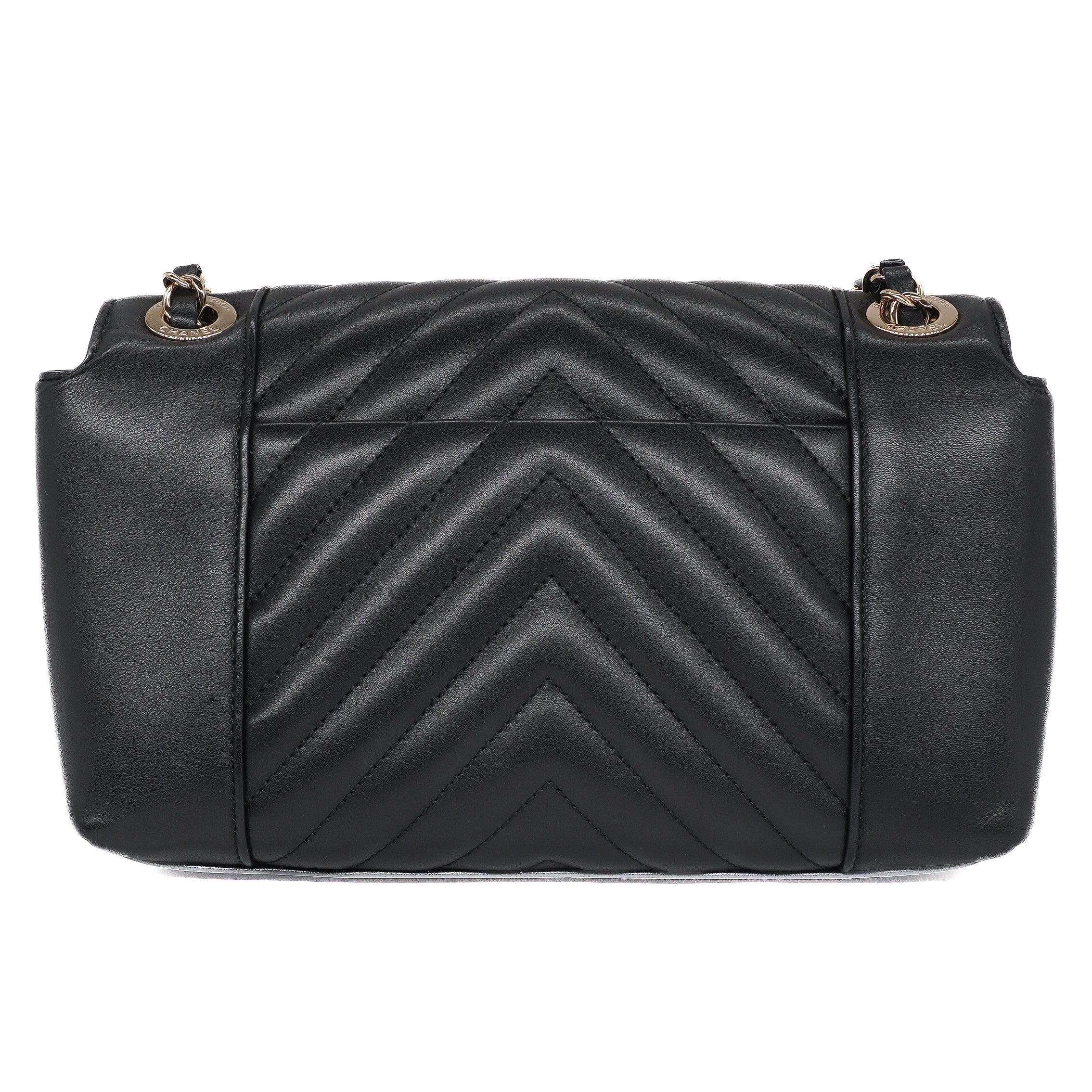 Chanel Medium Daily Flap