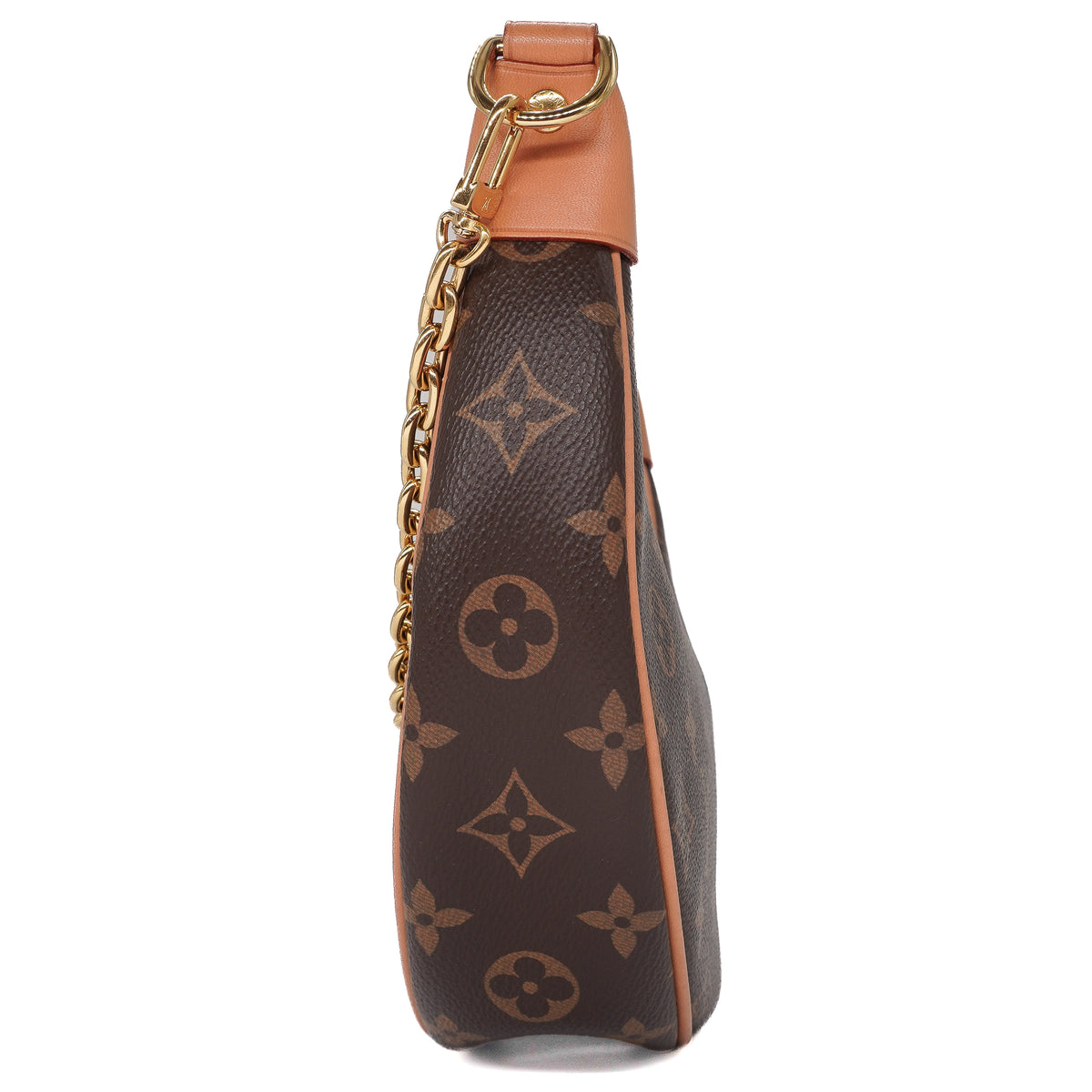 Louis Vuitton Monogram Loop