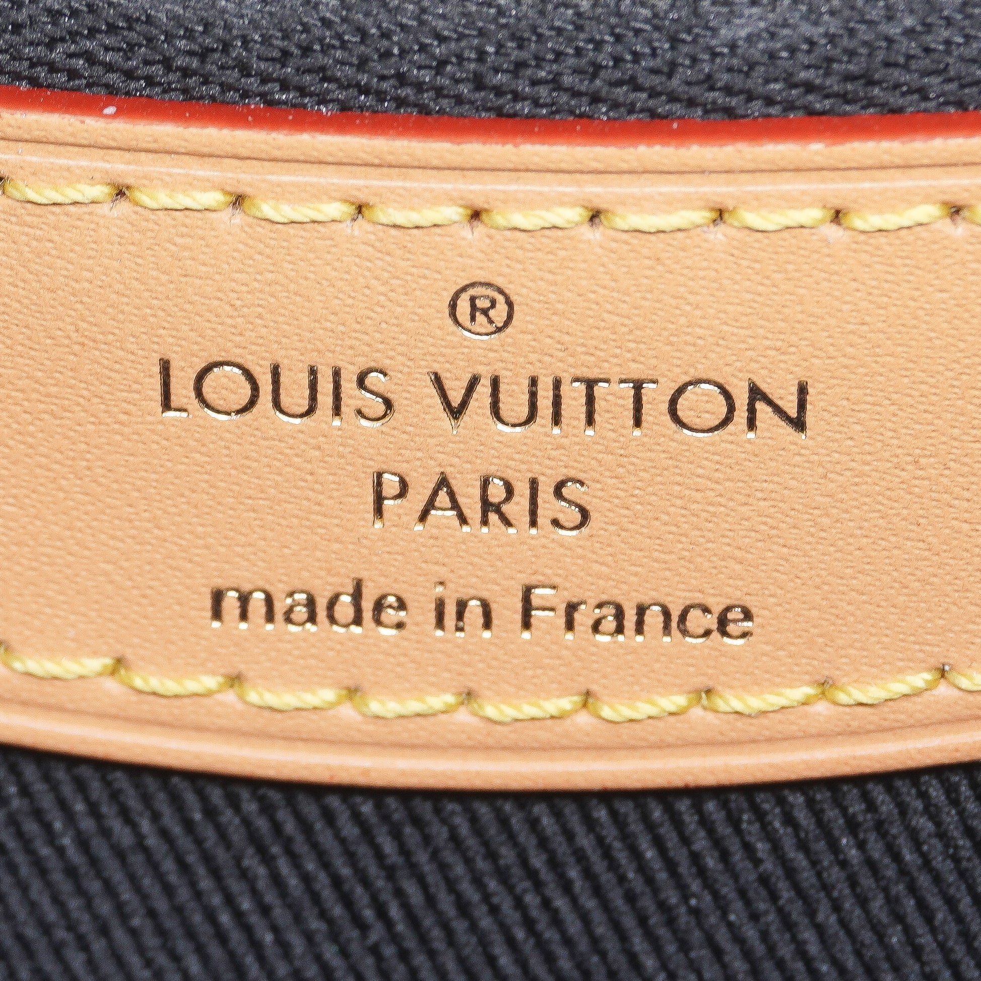 Louis Vuitton Monogram Diane