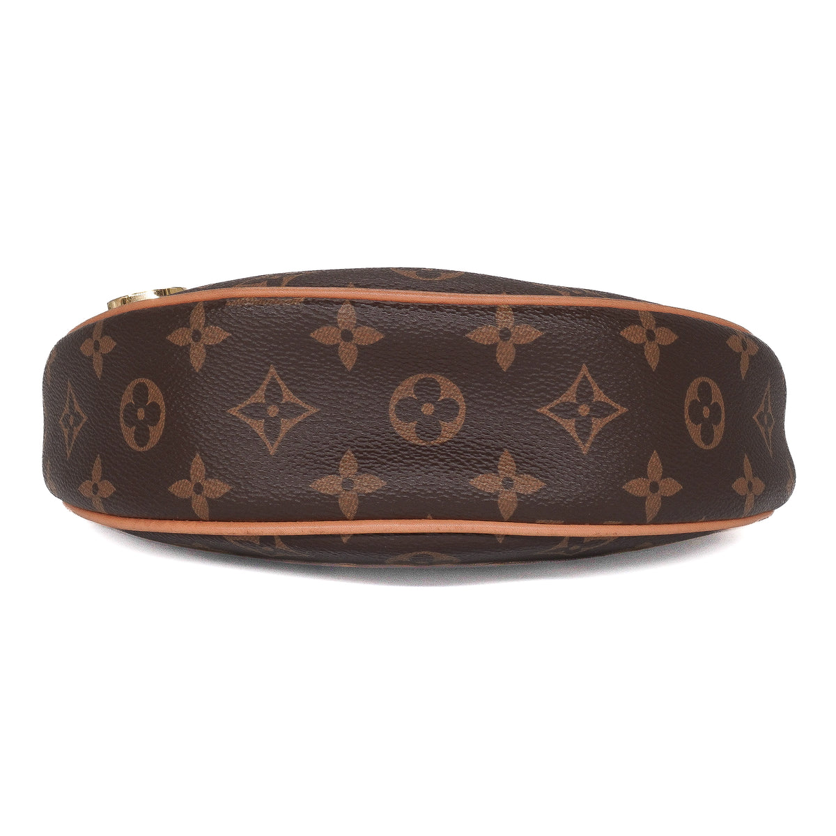 Louis Vuitton Monogram Loop