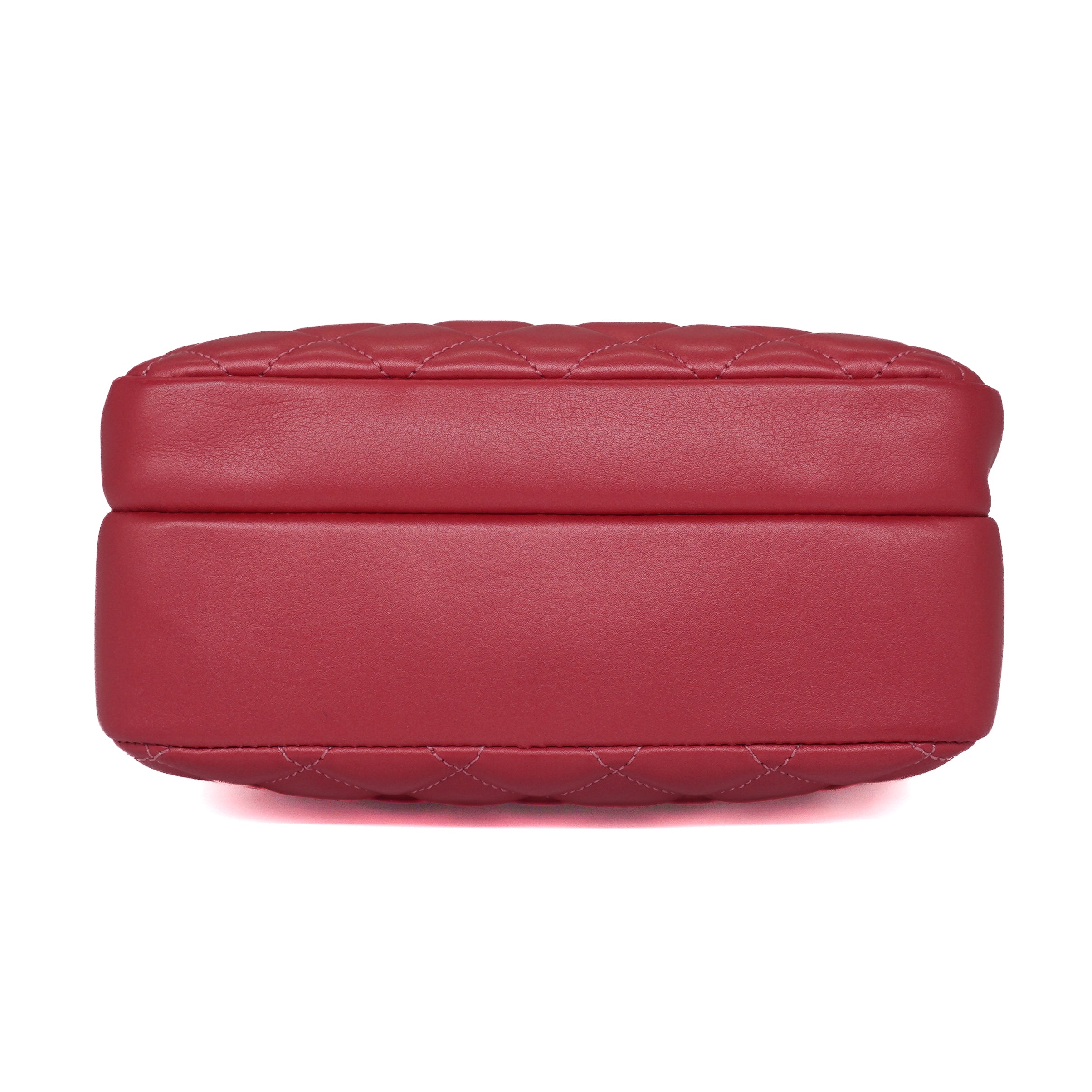 Chanel Calfskin Quilted Day Trips Camera Bag