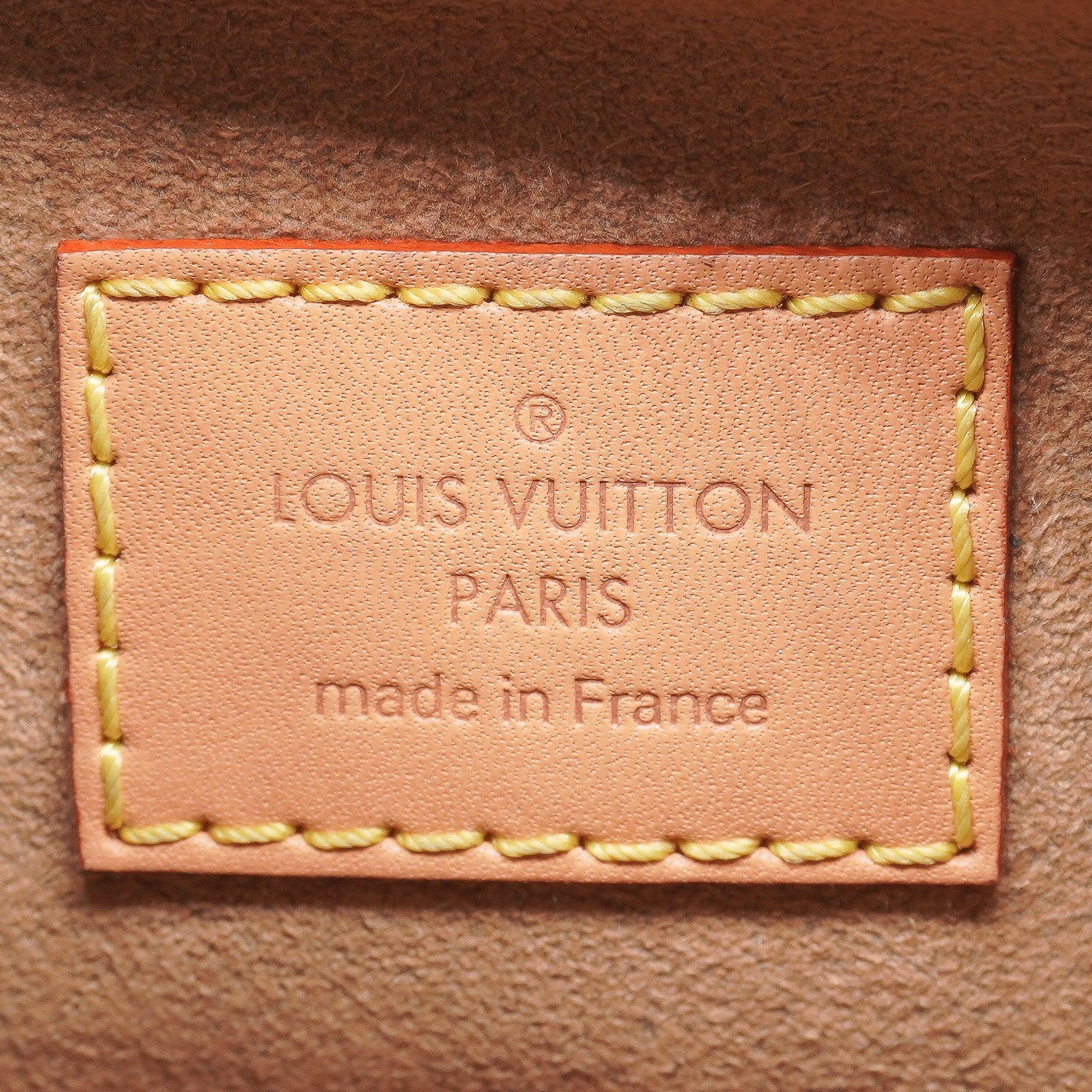 Louis Vuitton Monogram Loop