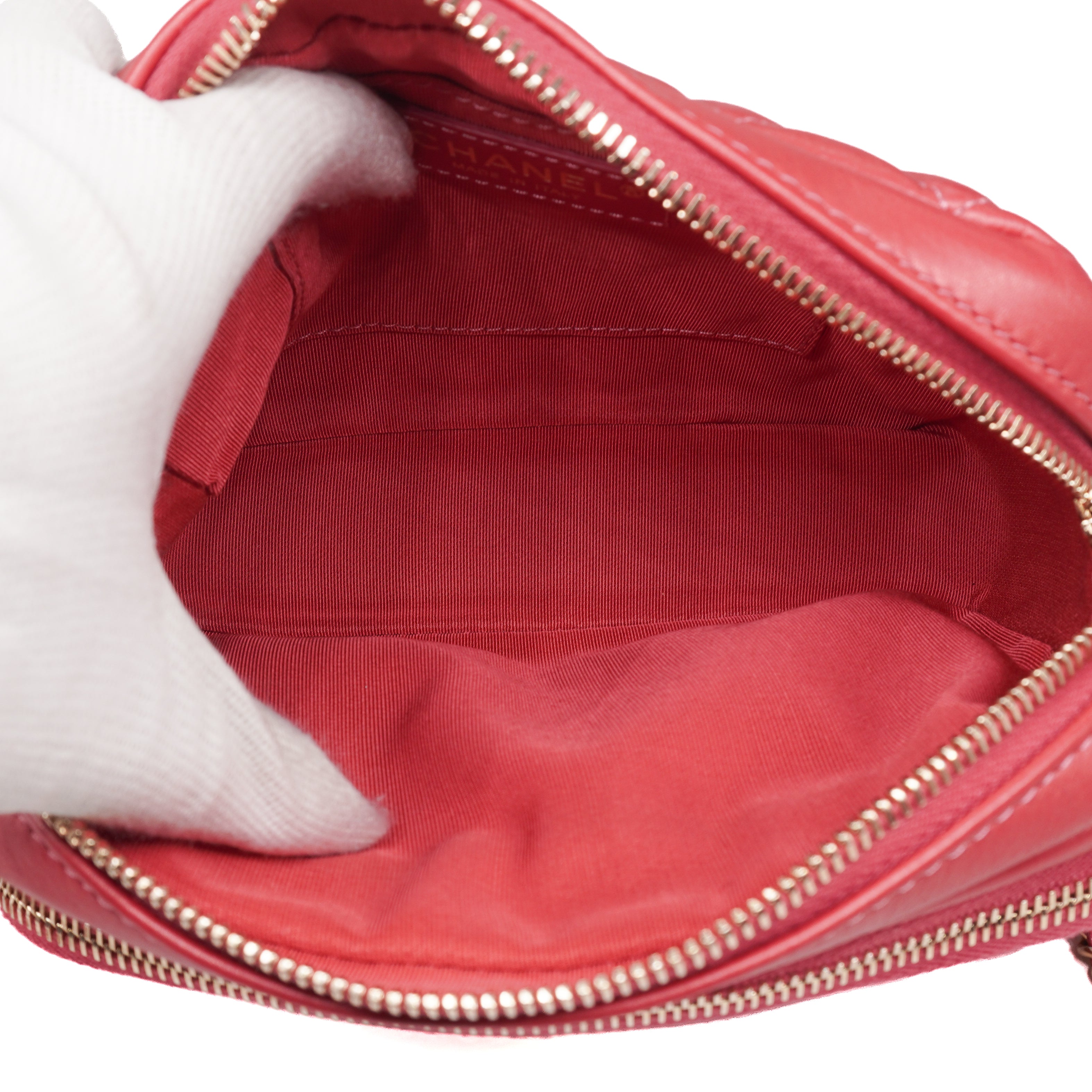 Chanel Calfskin Quilted Day Trips Camera Bag
