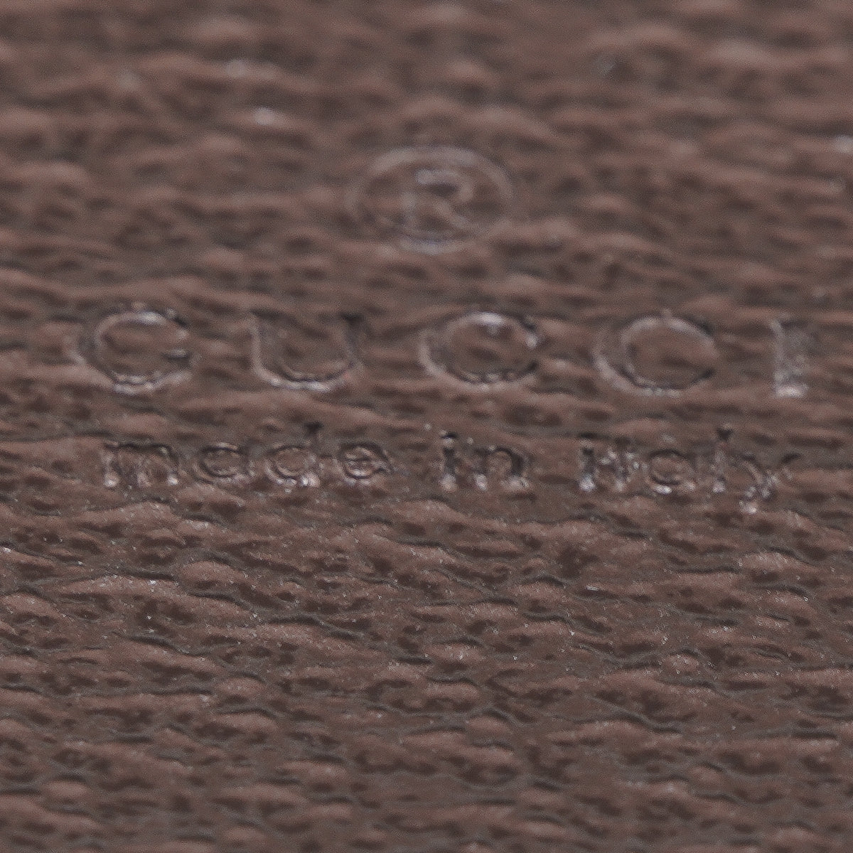 Gucci Mini Vertical Tote