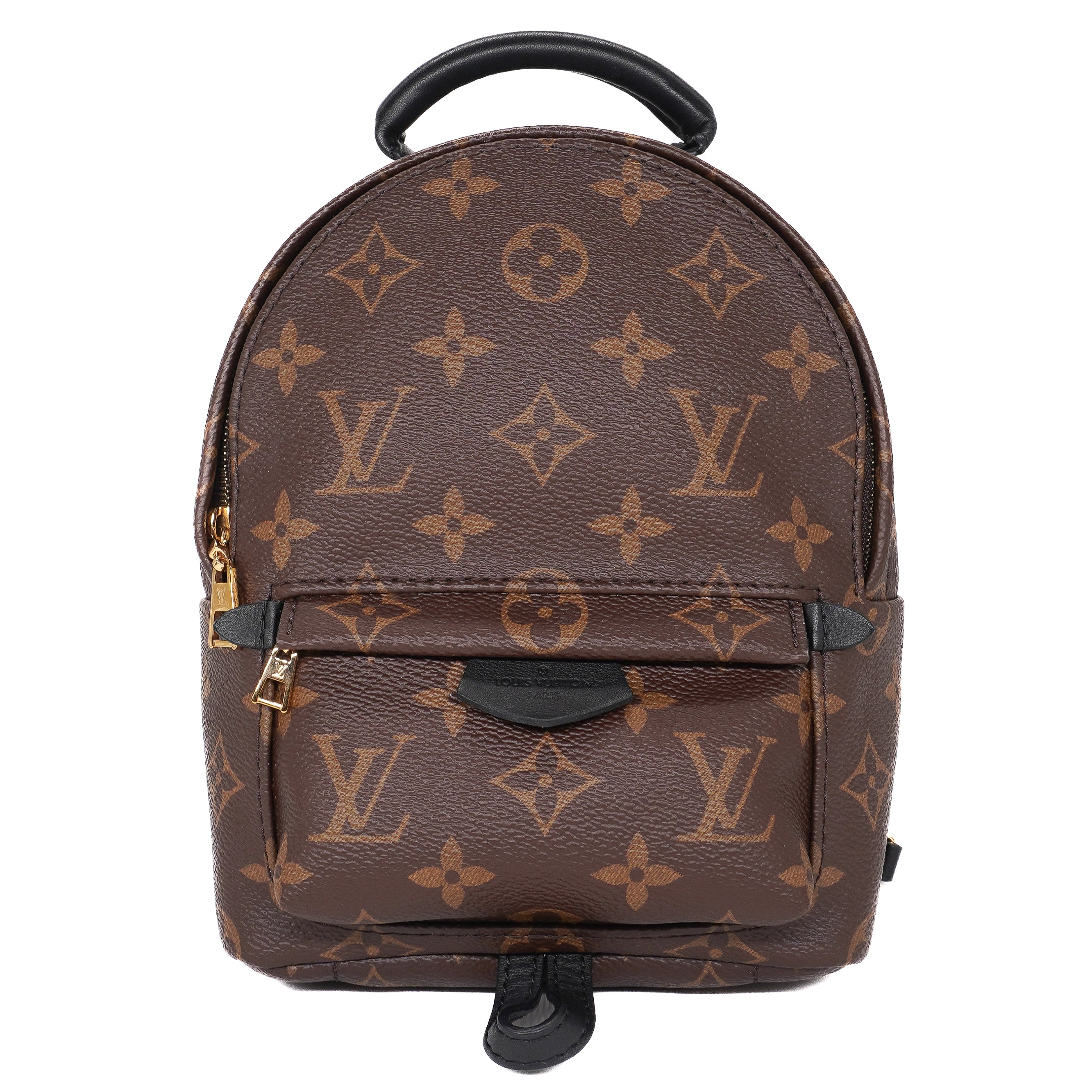 Louis Vuitton Palm Springs Mini Backpack