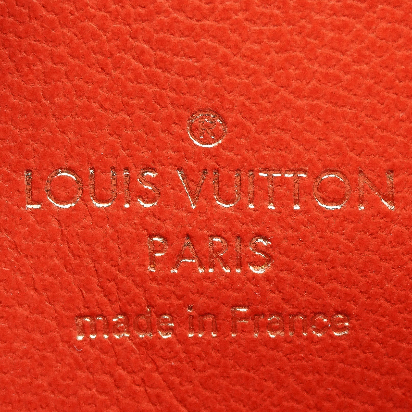 Louis Vuitton Monogram Embossed Coussin BB