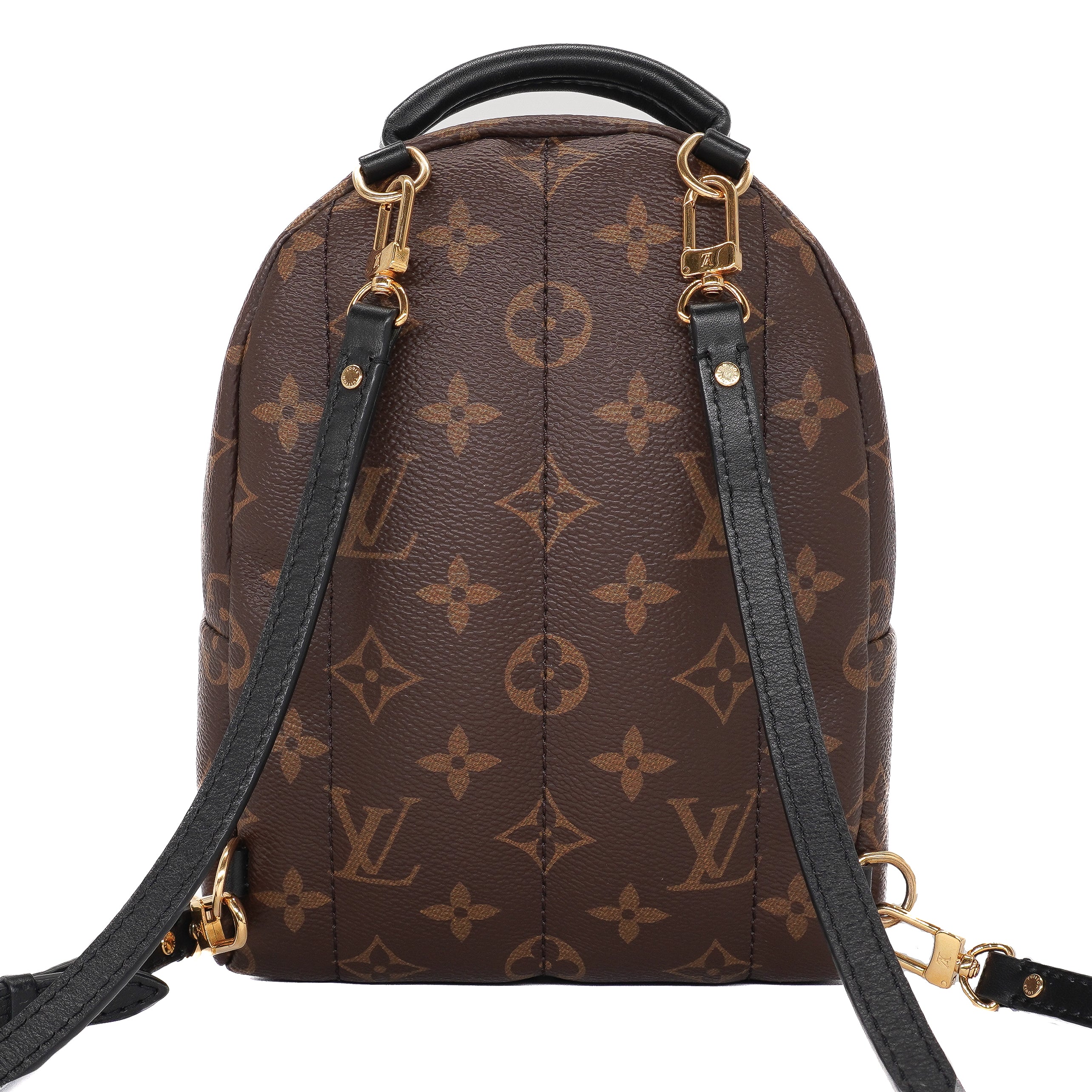 Louis Vuitton Palm Springs Mini Backpack
