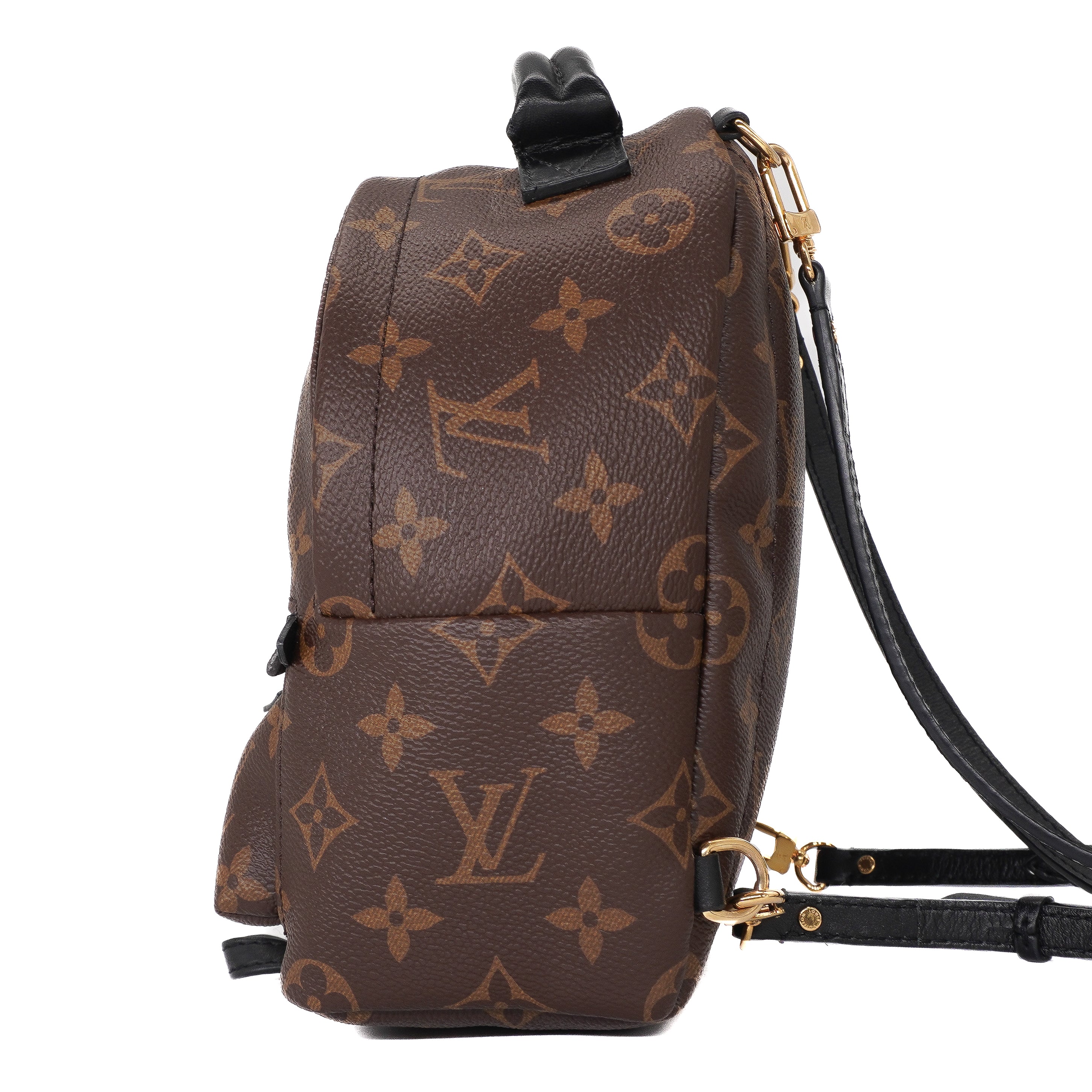 Louis Vuitton Palm Springs Mini Backpack