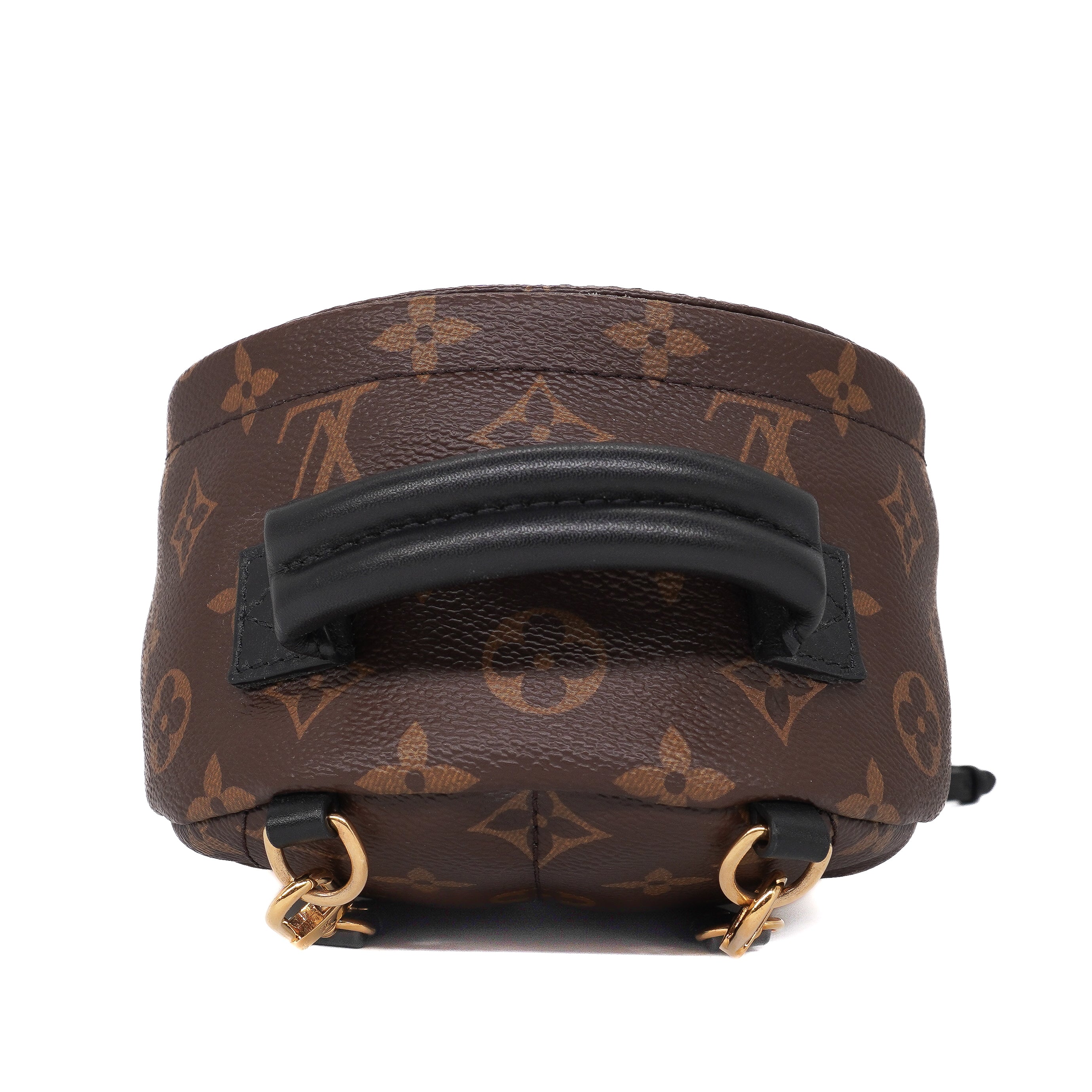Louis Vuitton Palm Springs Mini Backpack