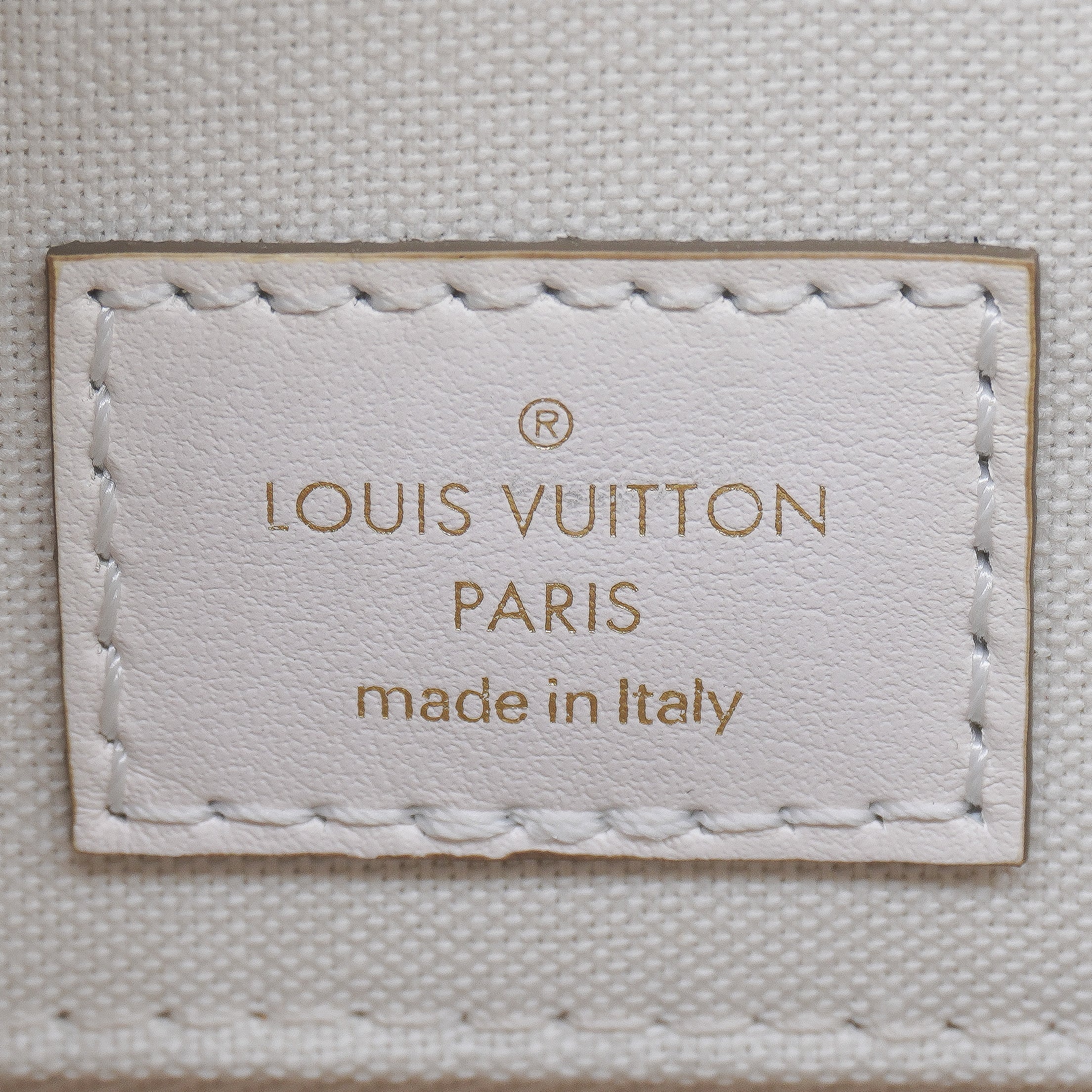 Louis Vuitton Giant Spring In The City MM