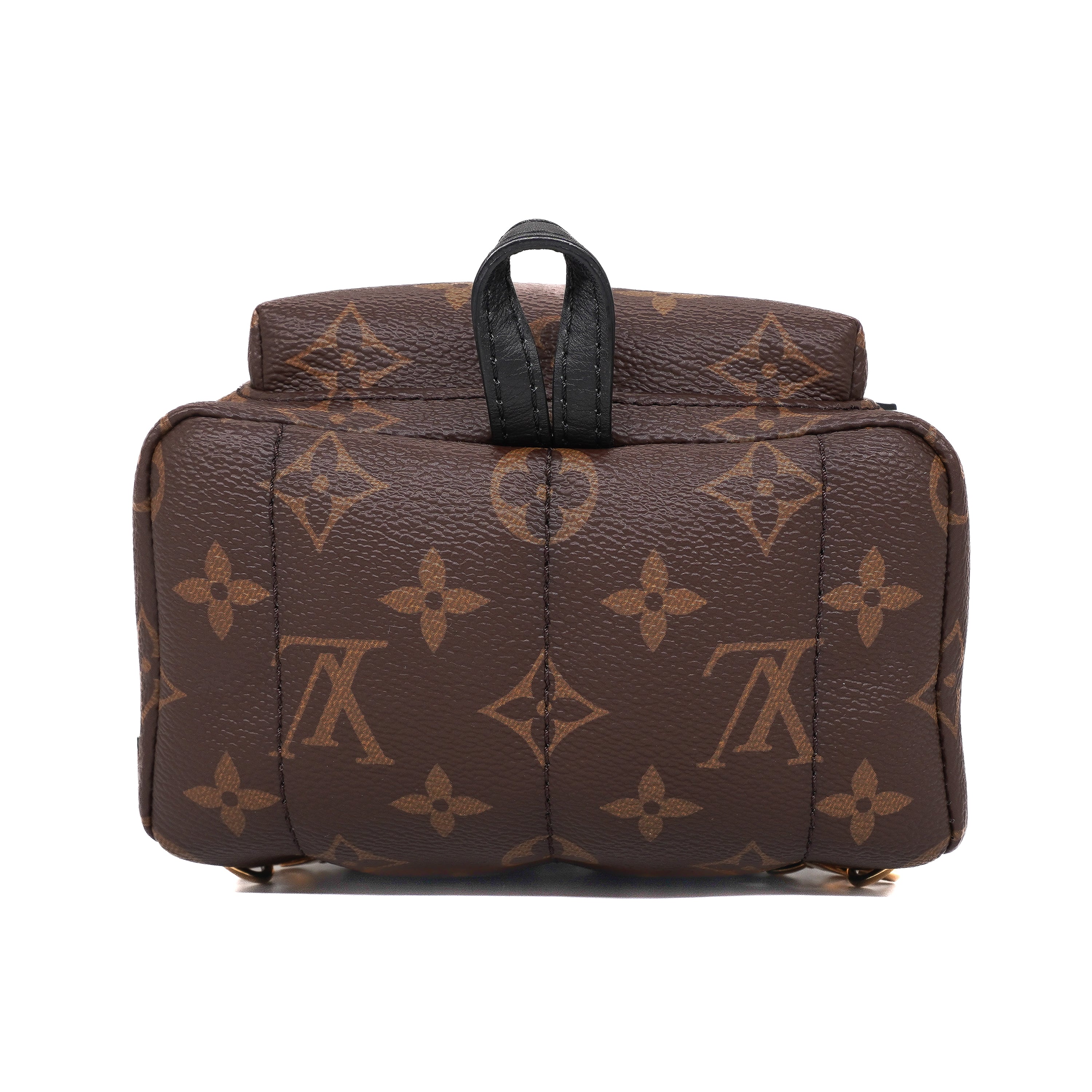 Louis Vuitton Palm Springs Mini Backpack