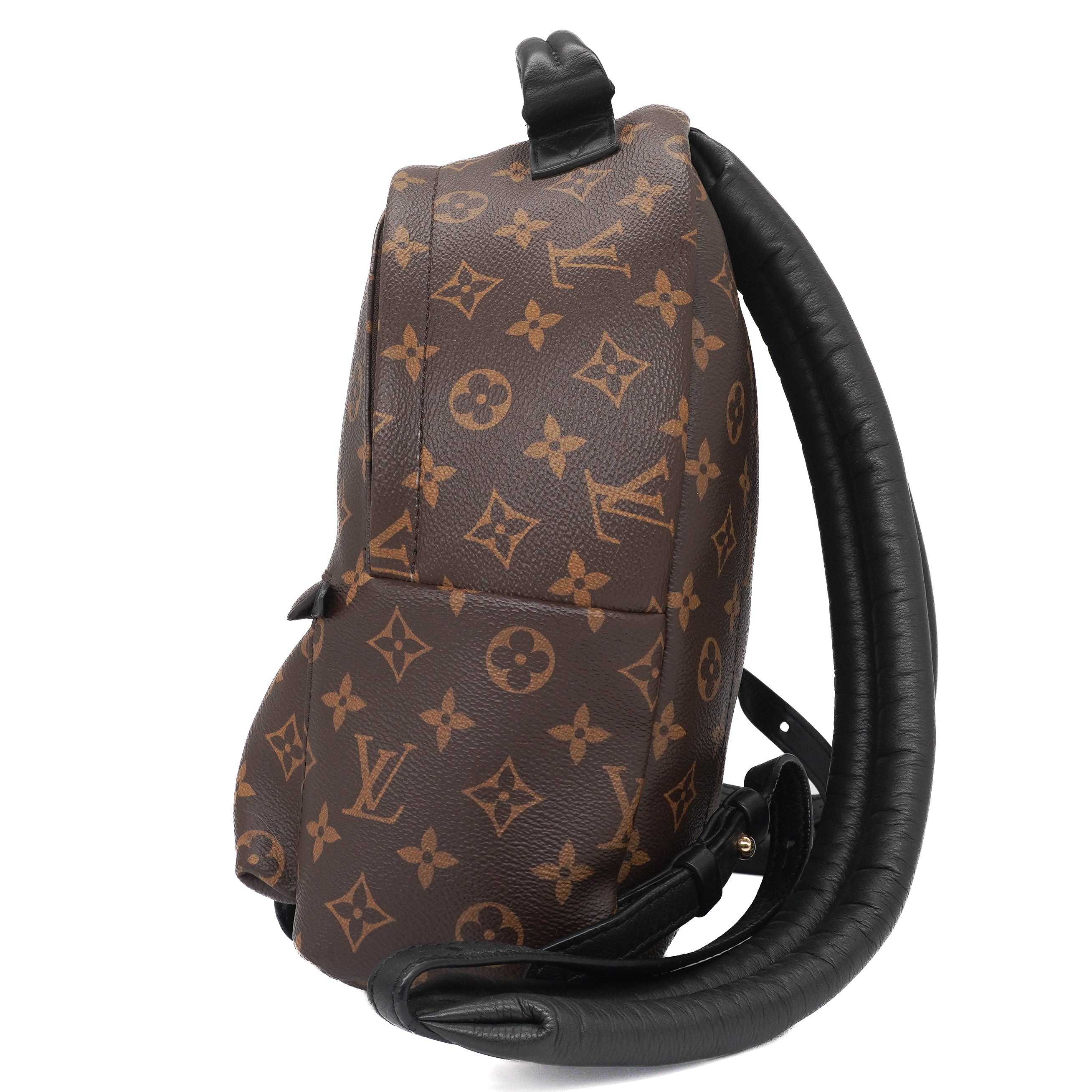 Louis Vuitton Palm Springs Backpack PM
