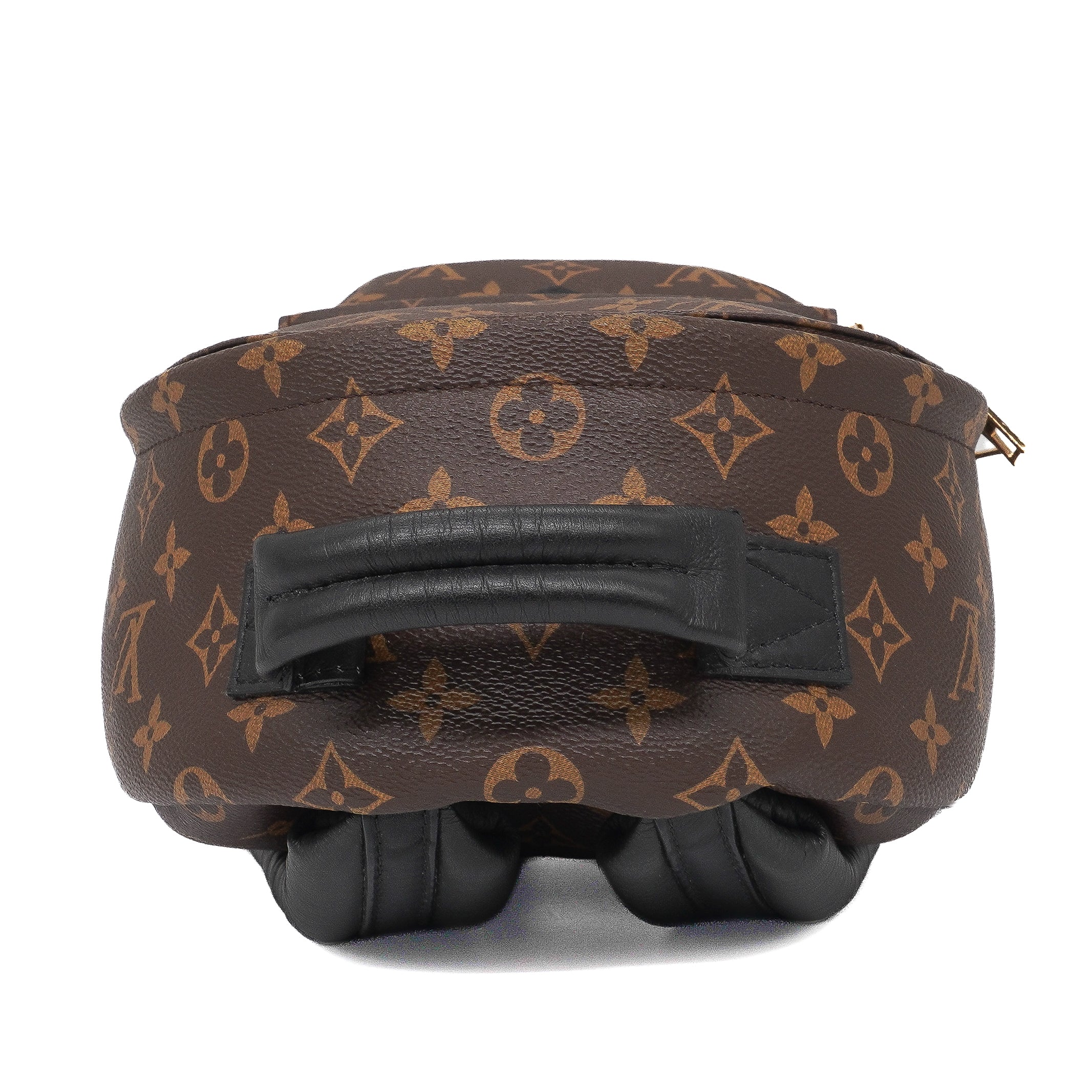 Louis Vuitton Palm Springs Backpack PM