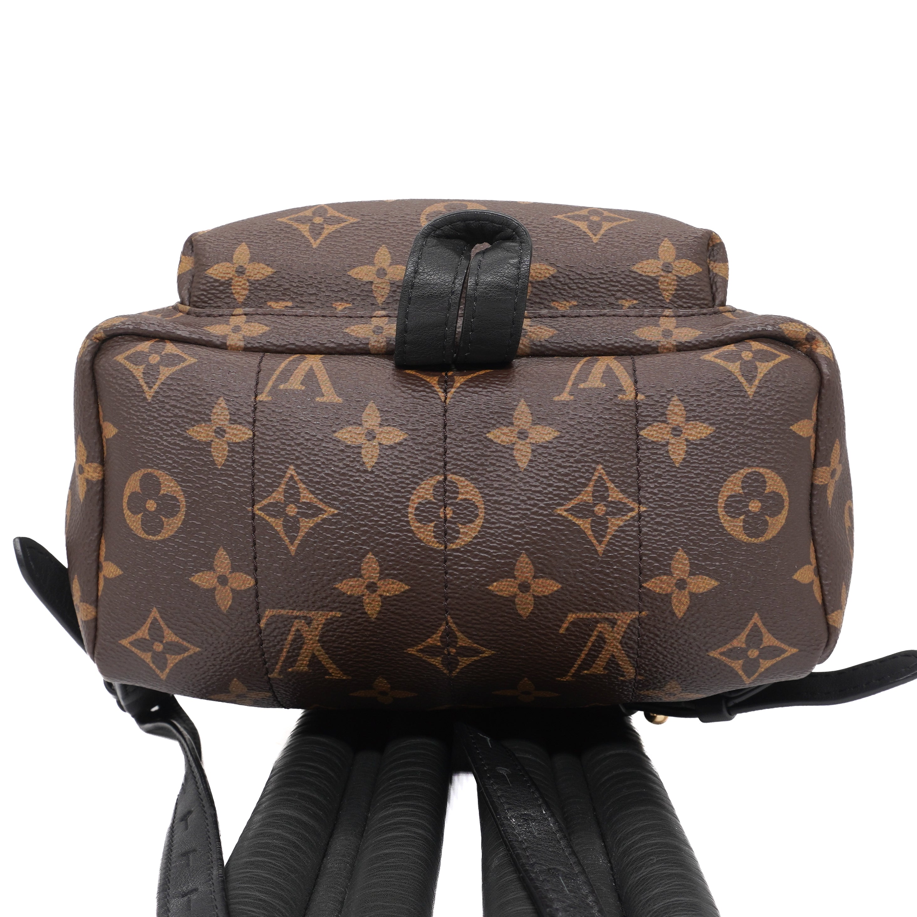Louis Vuitton Palm Springs Backpack PM