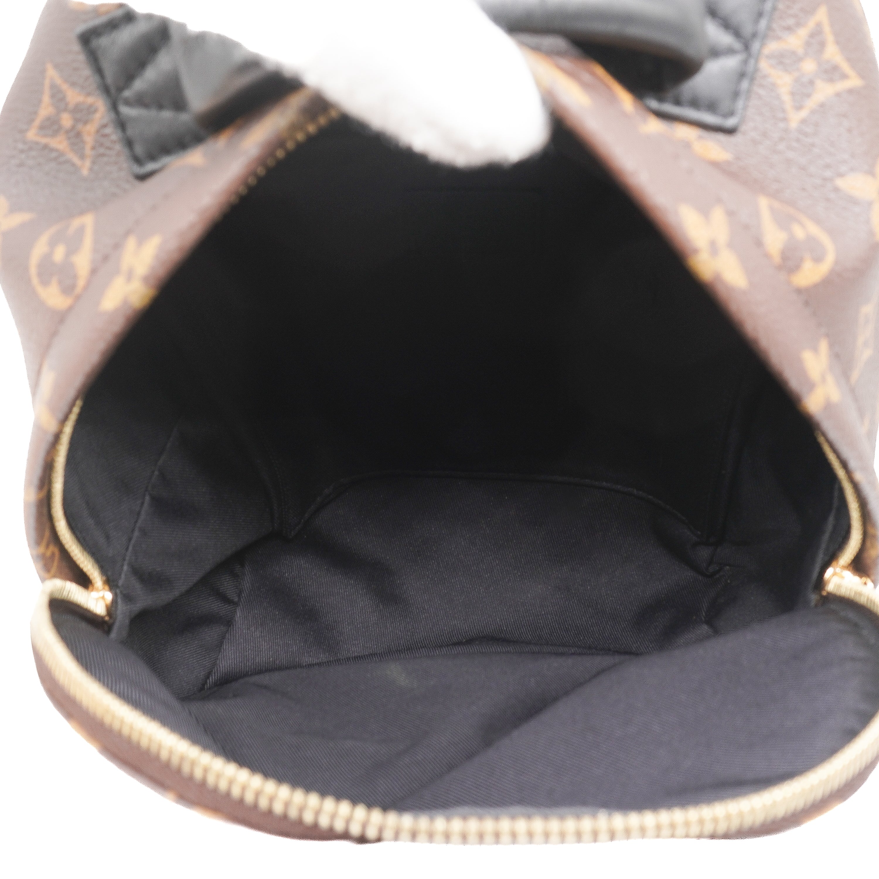 Louis Vuitton Palm Springs Backpack PM