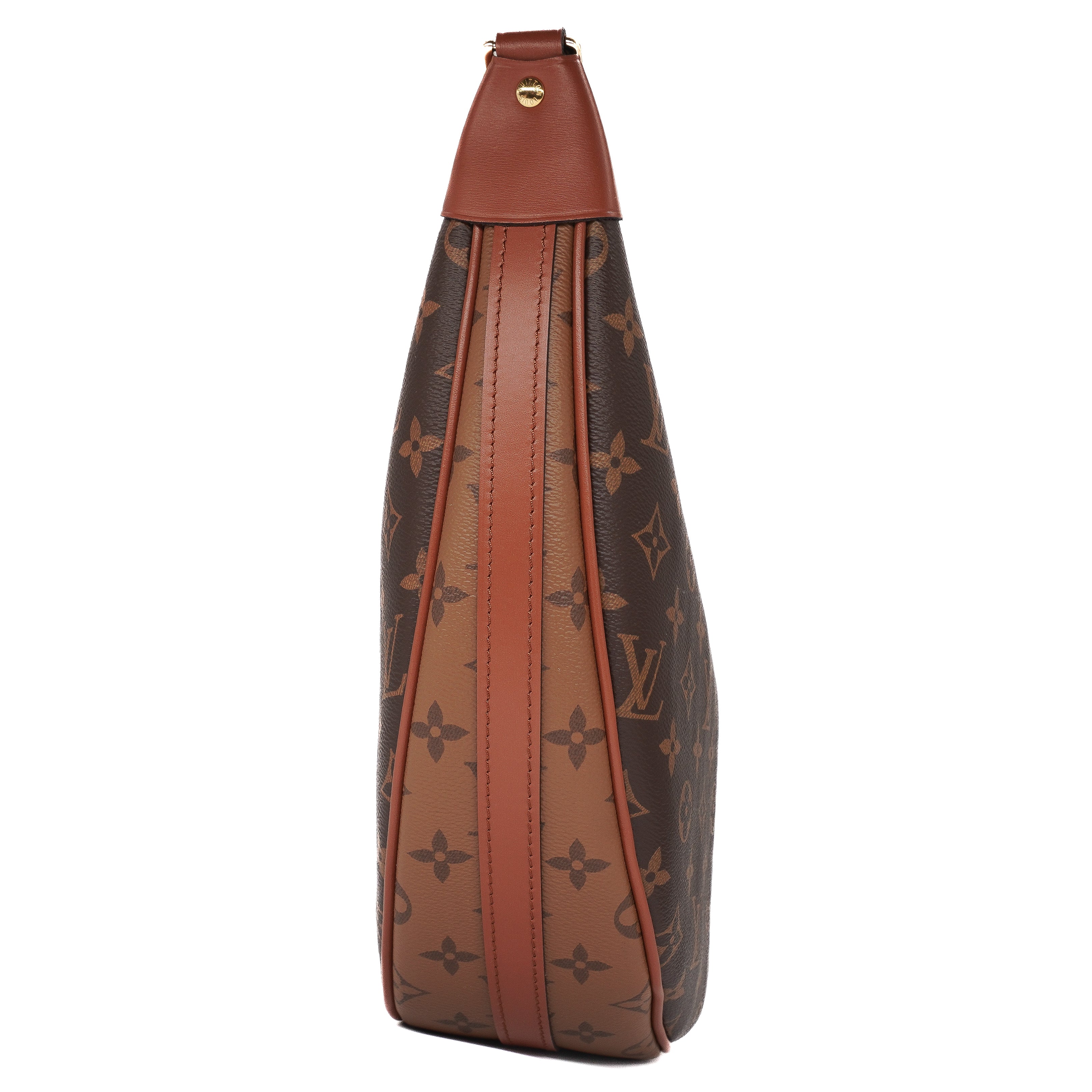Louis Vuitton Monogram Reverse Loop Hobo