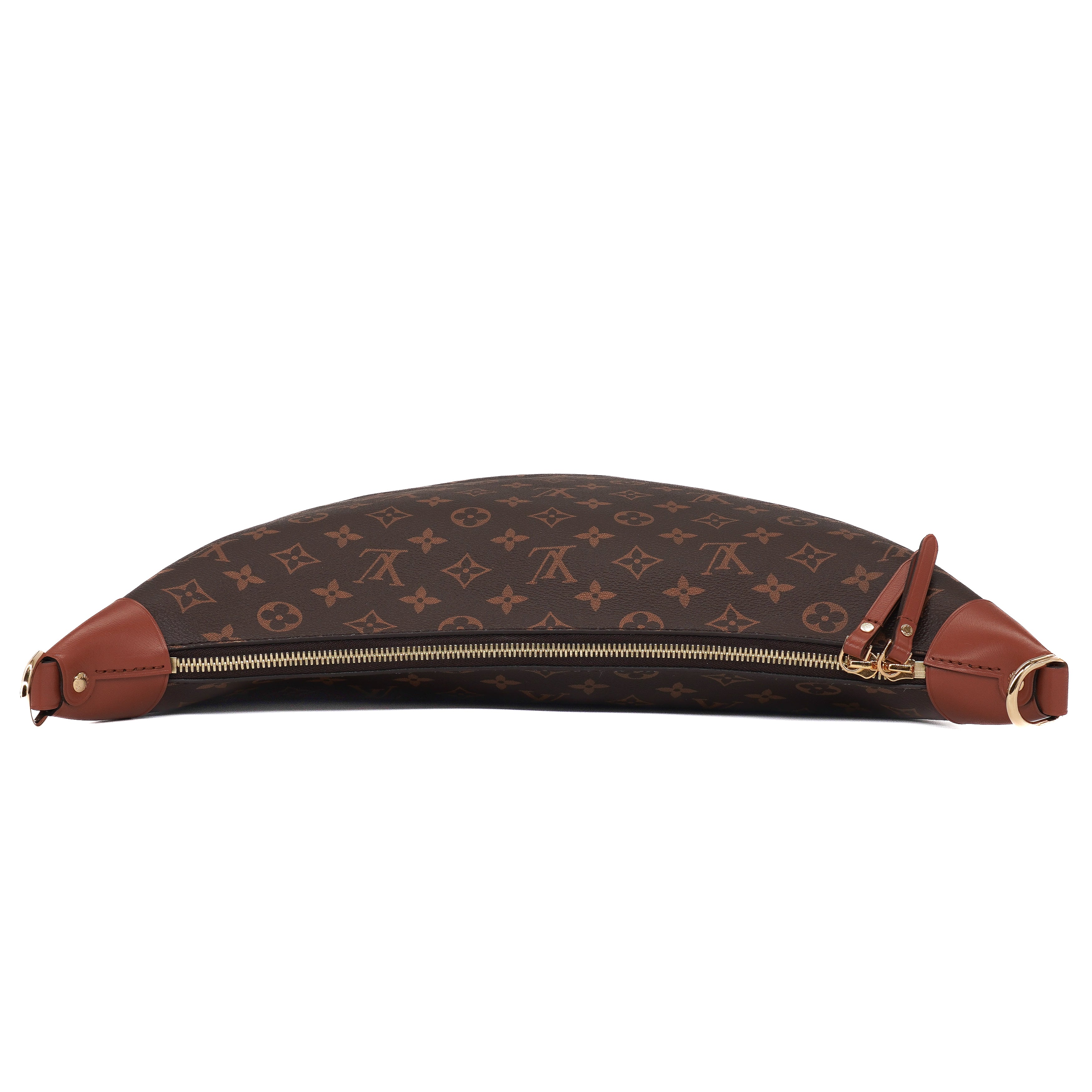 Louis Vuitton Monogram Reverse Loop Hobo