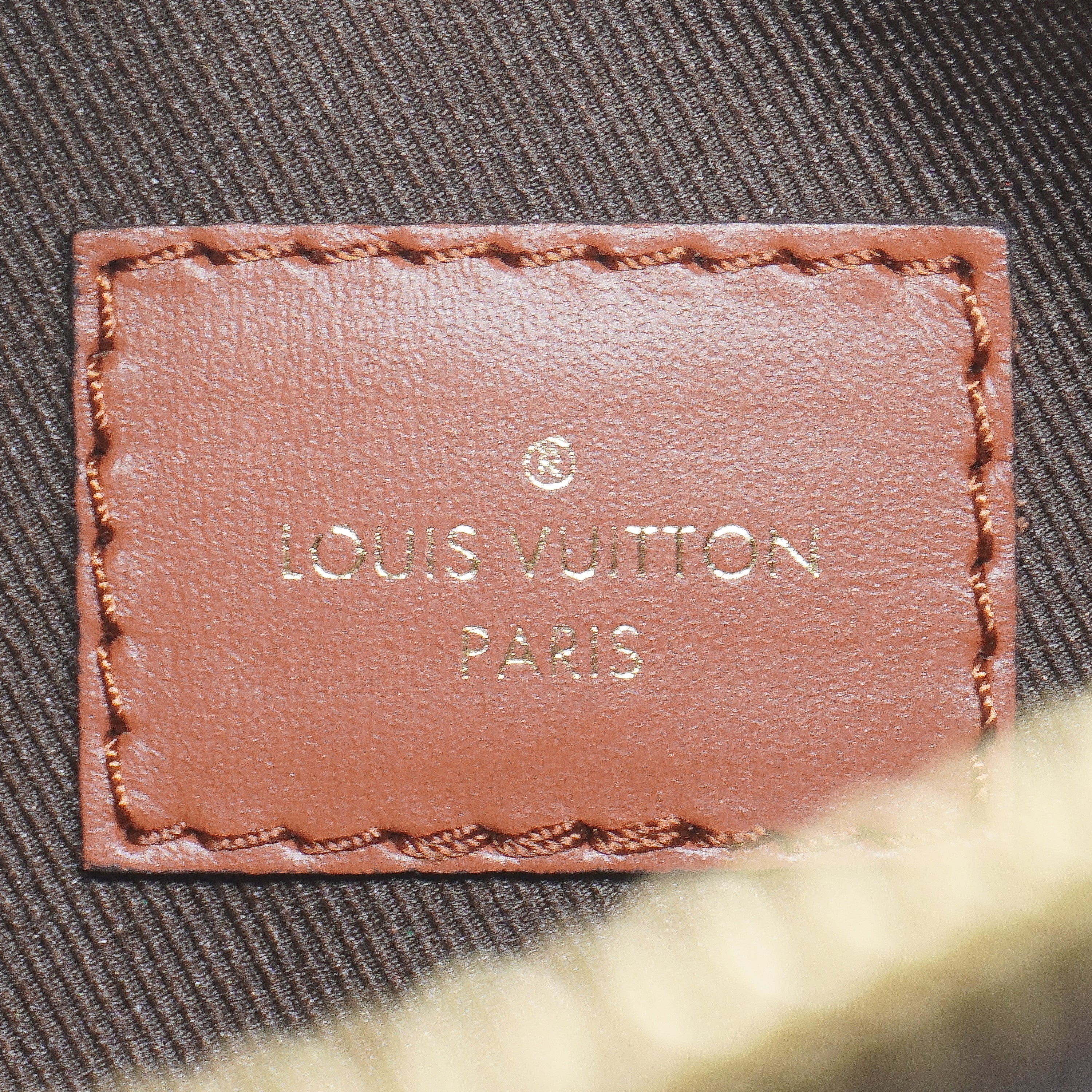 Louis Vuitton Monogram Reverse Loop Hobo