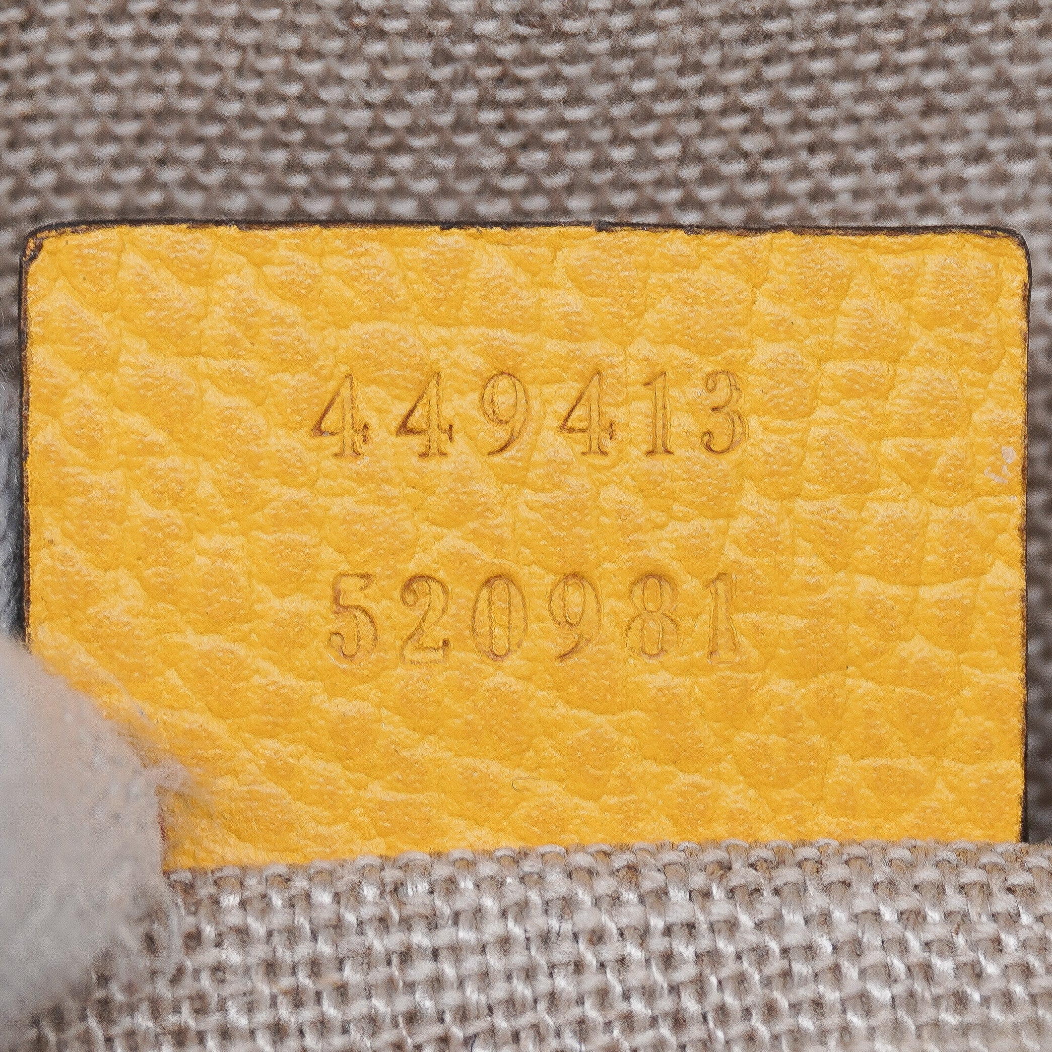 Gucci Canvas Camera Bag